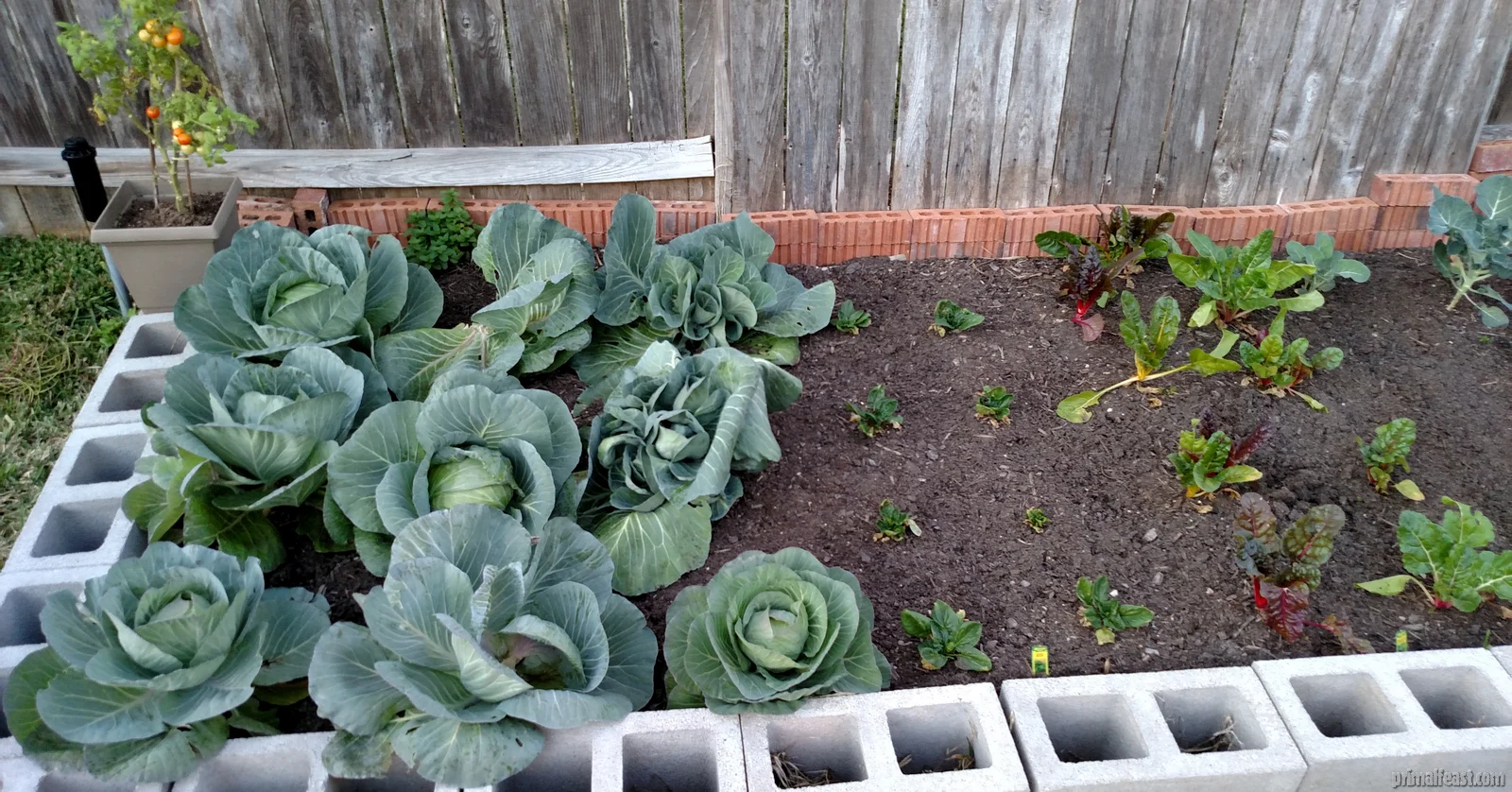 2016-0202-garden-3-001.jpg