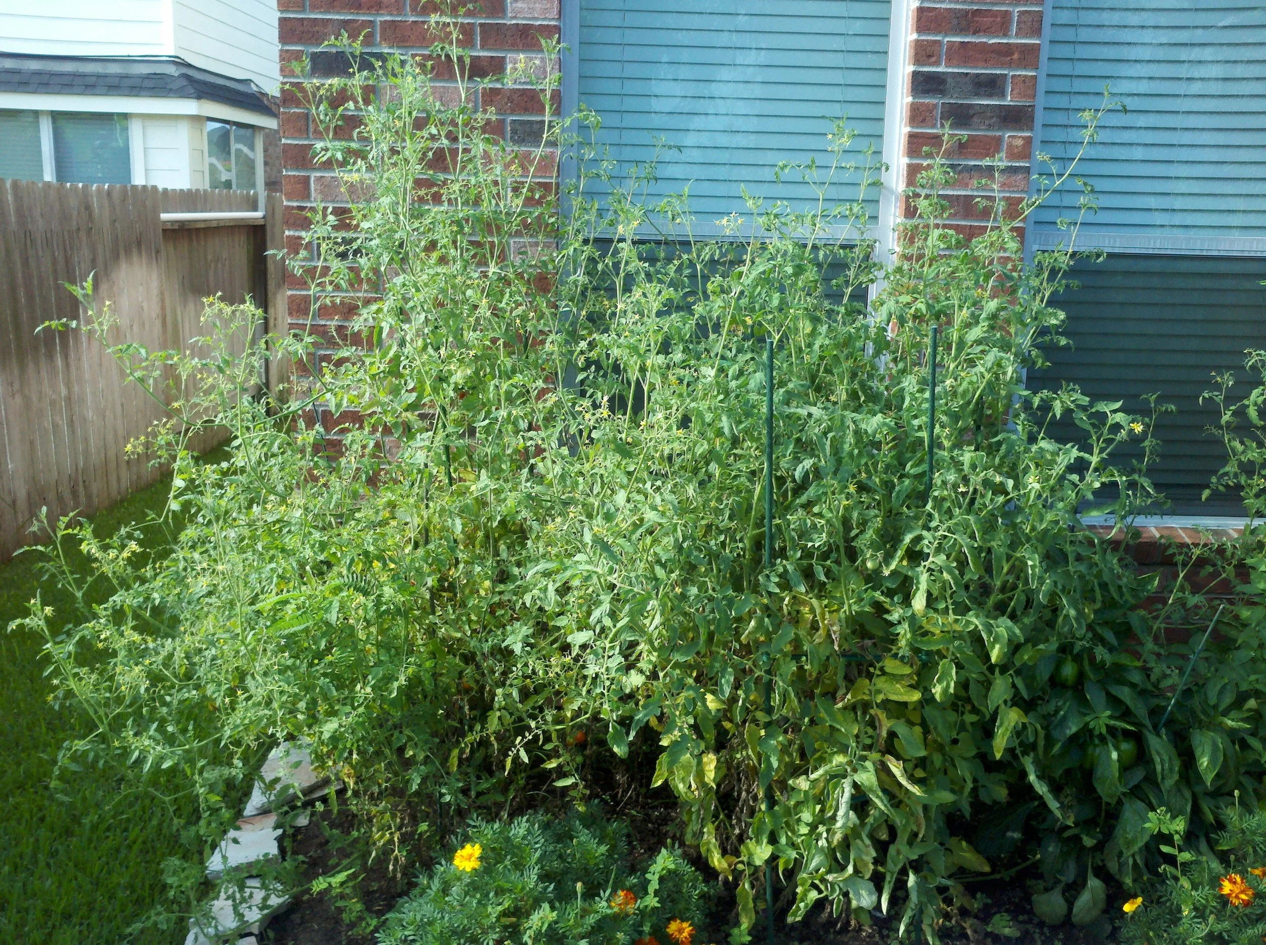 2012 0720 002.jpg