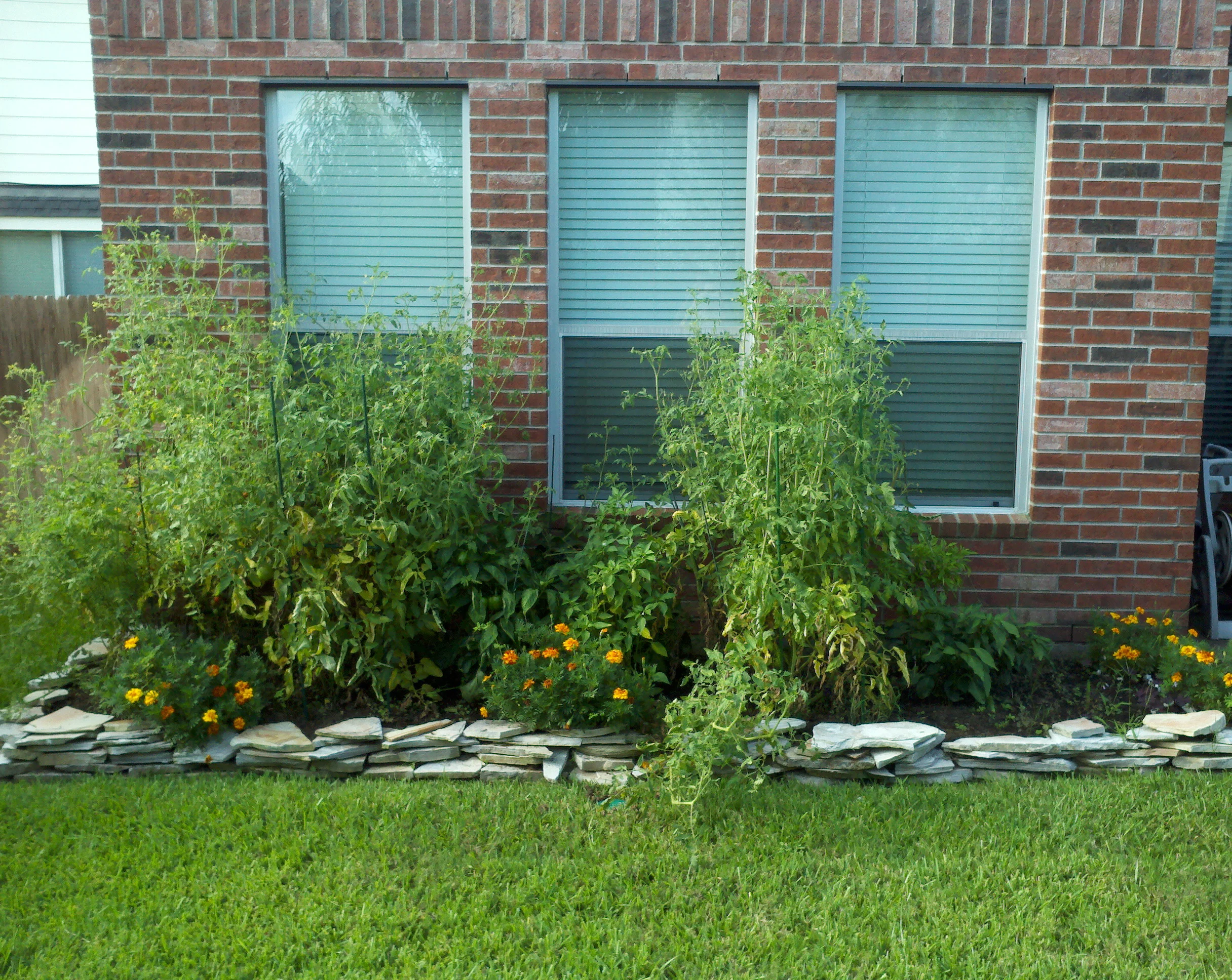 2012 0720 003.jpg