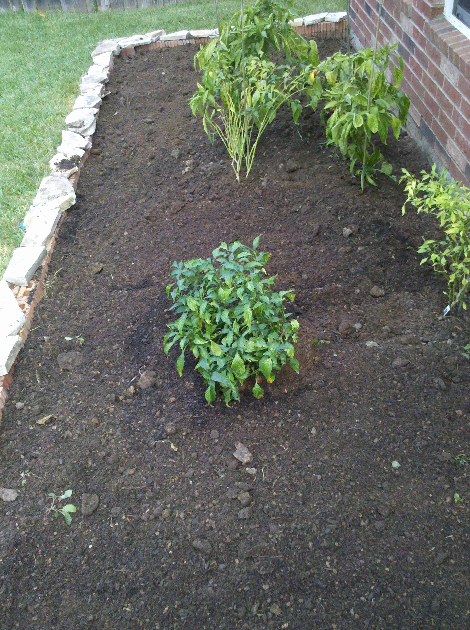 2012 1013 001.jpg