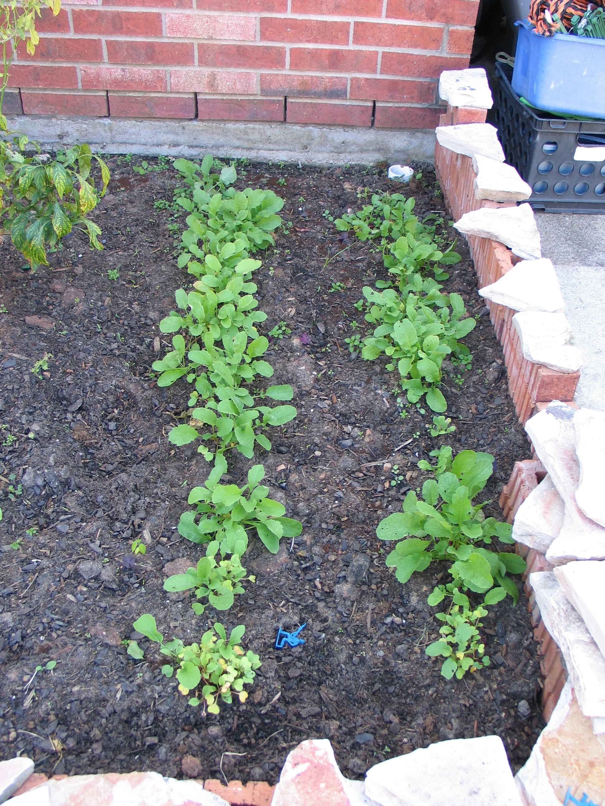 2012 1125 001.jpg