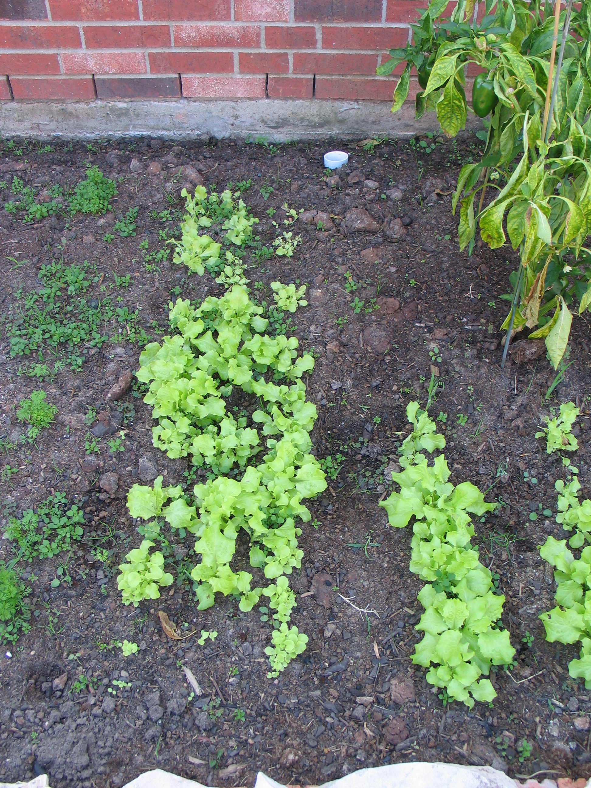2012 1125 004.jpg