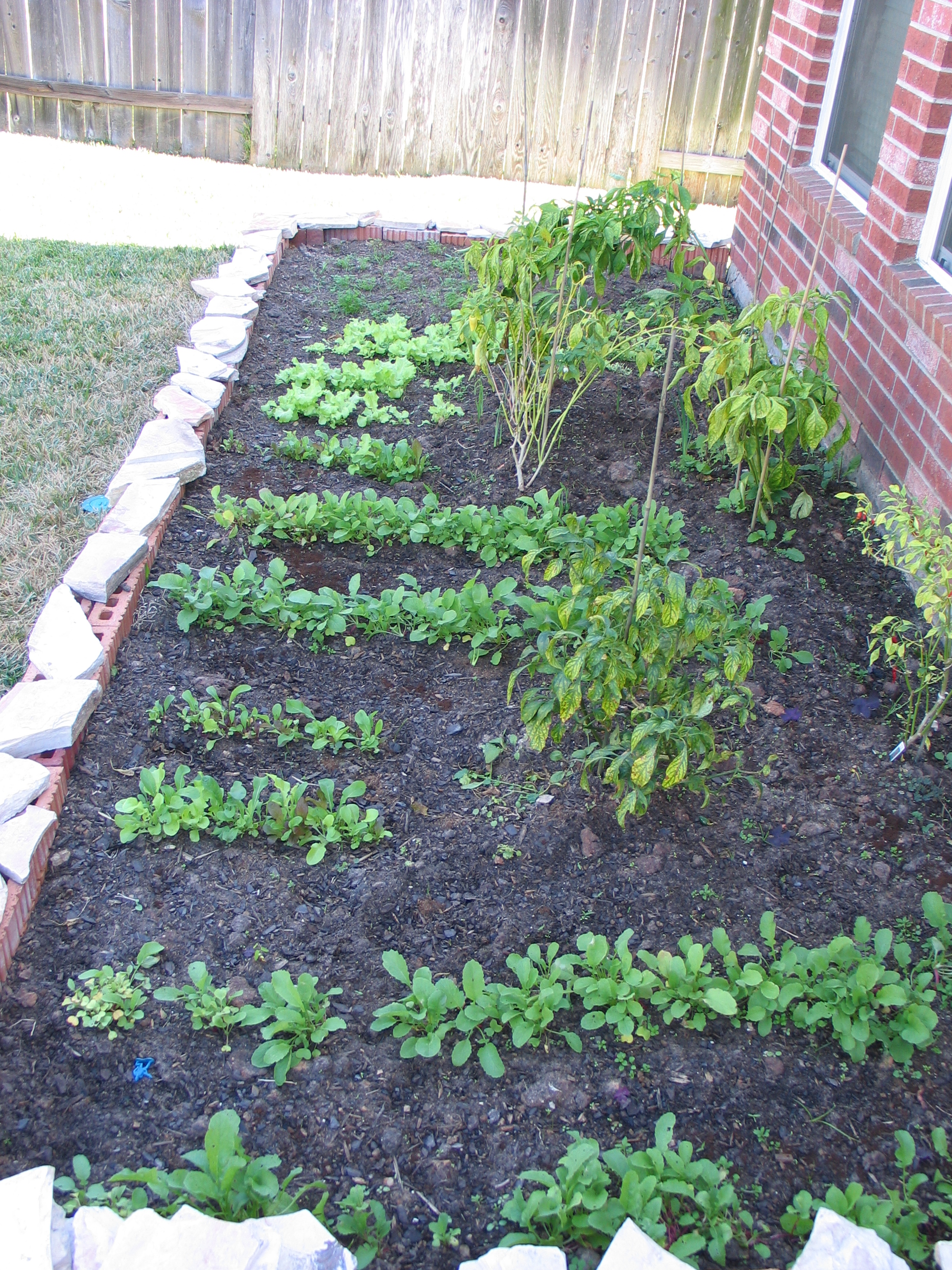 2012 1125 007.jpg