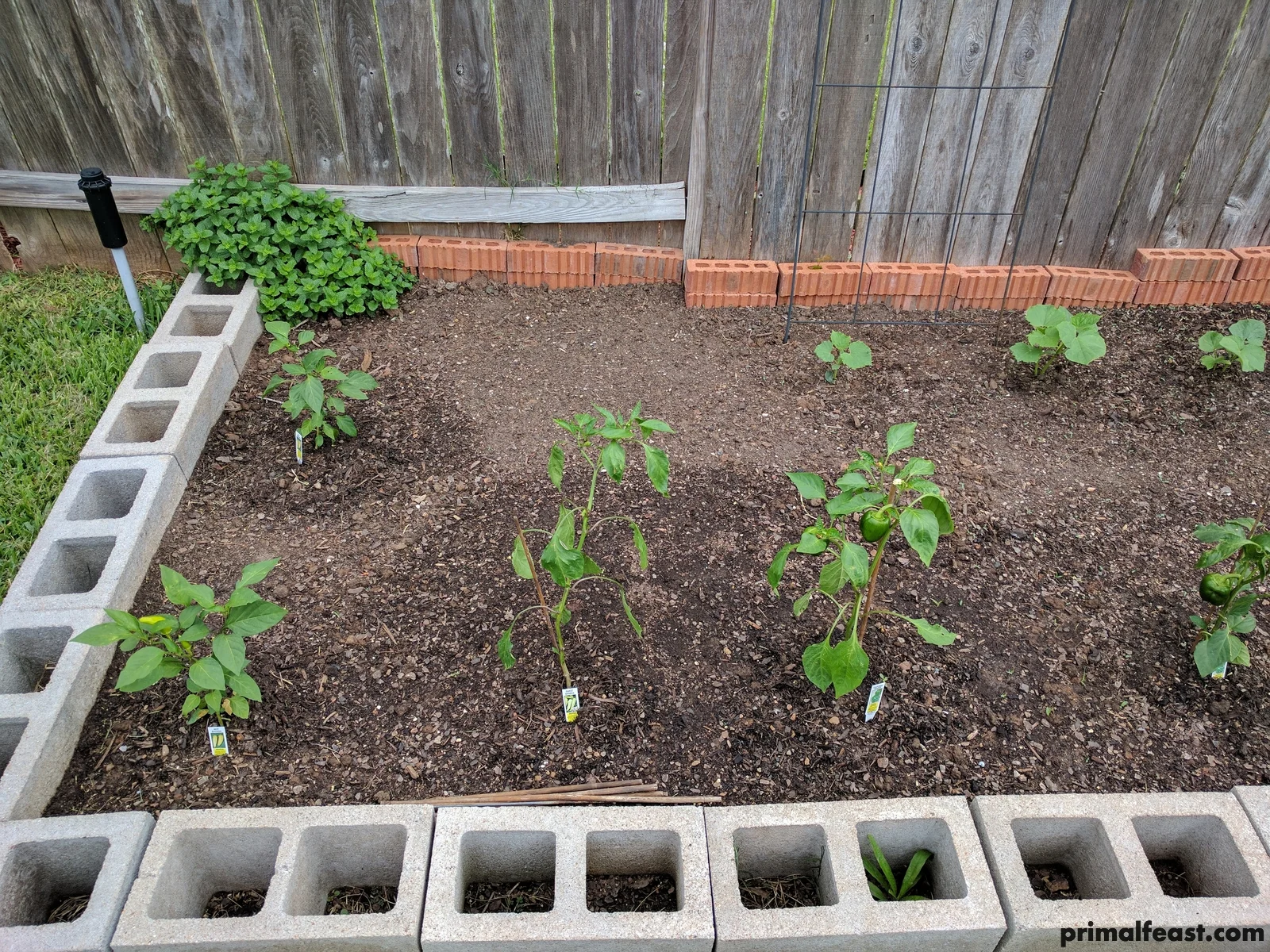2017 0528 spring garden 001.jpg