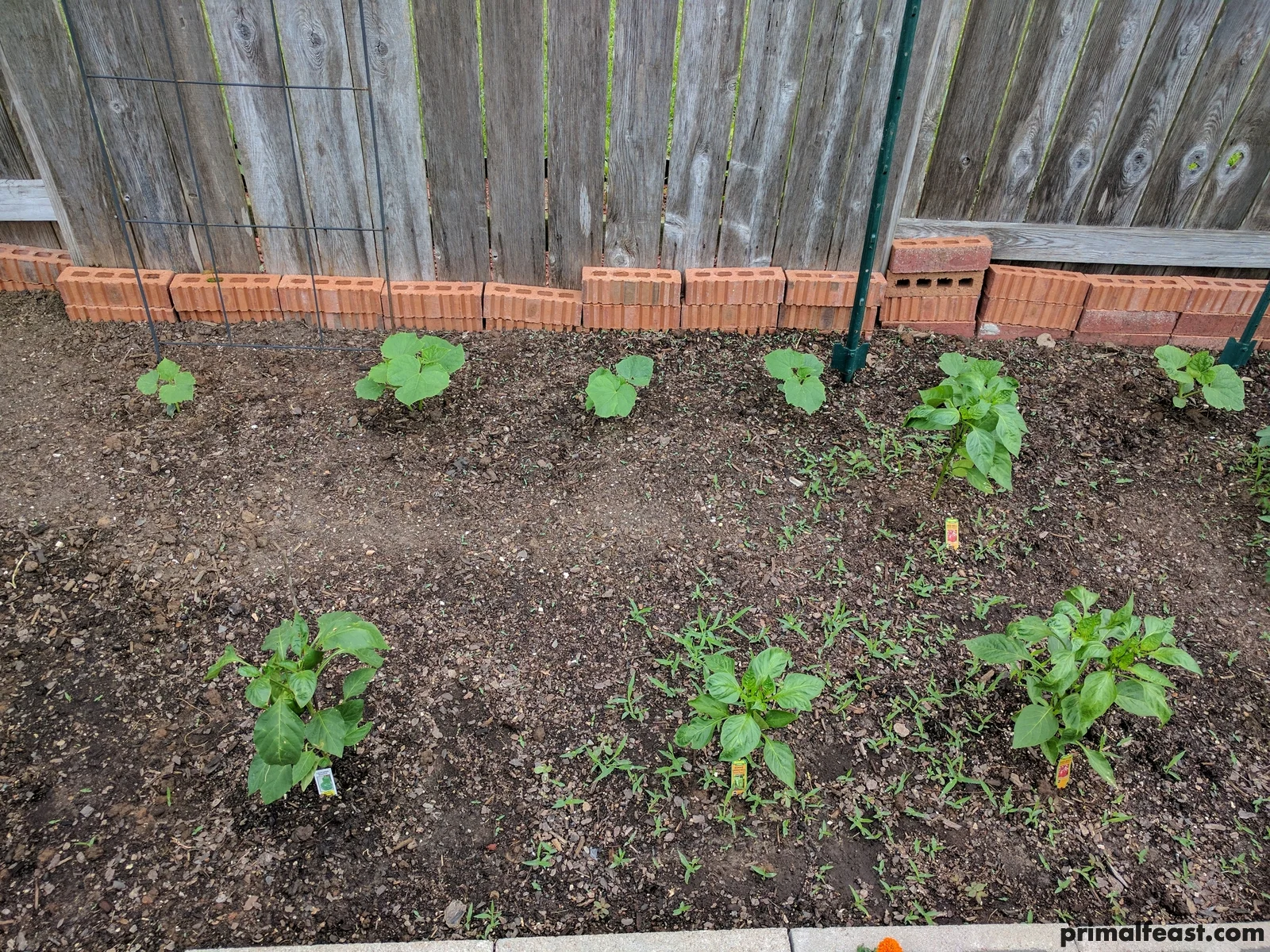 2017 0528 spring garden 004.jpg