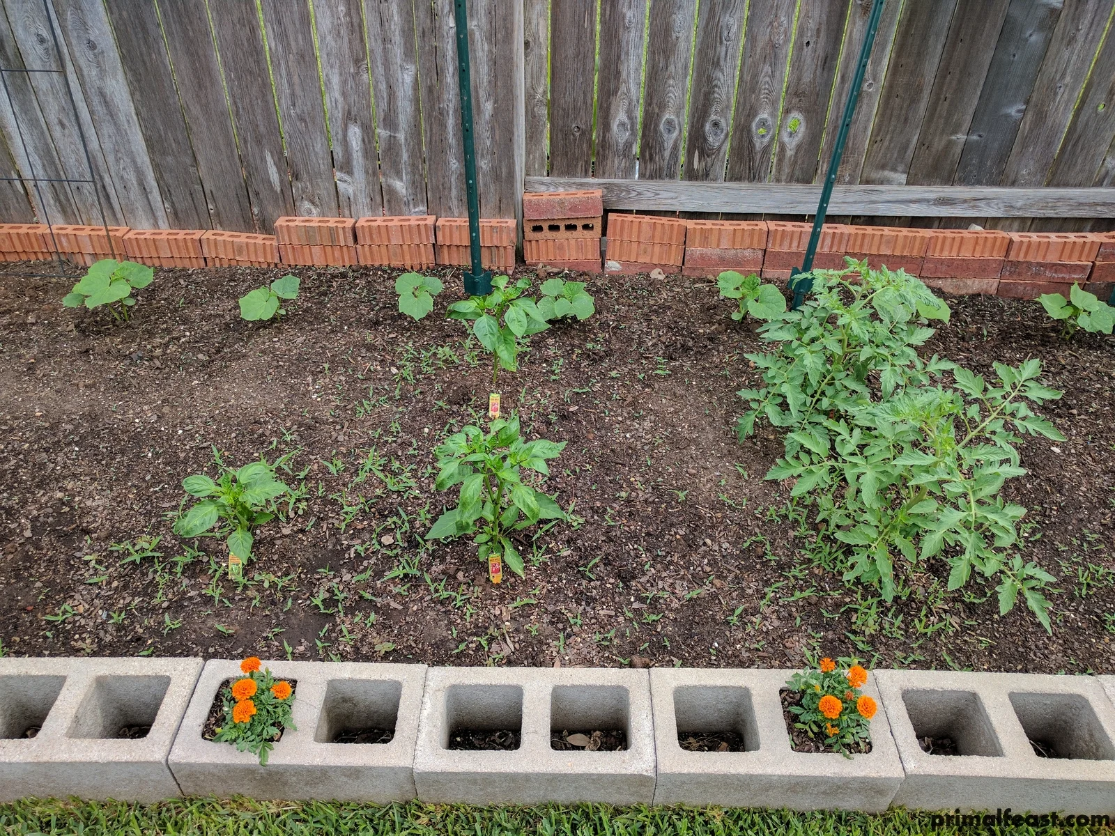 2017 0528 spring garden 006.jpg