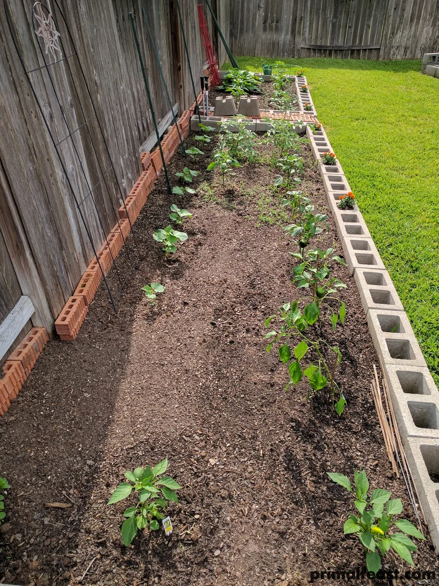 2017 0528 spring garden 012.jpg