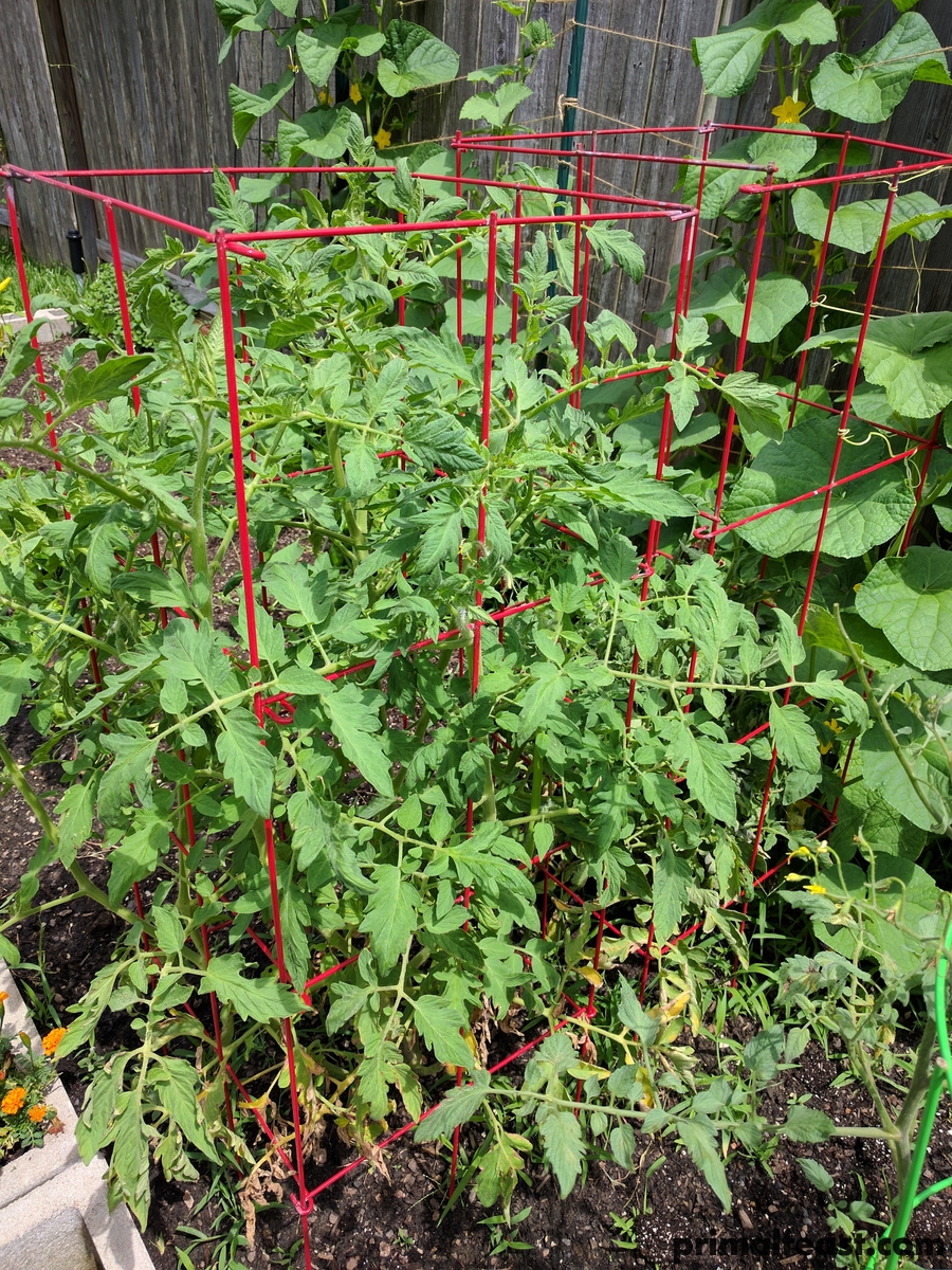 2017 0618 spring garden 003.jpg