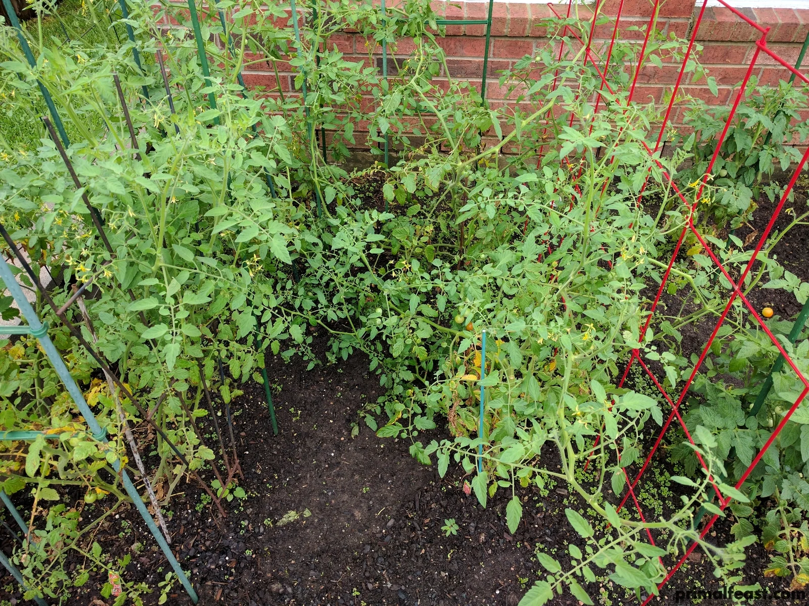 2017 0622 spring garden 005.jpg