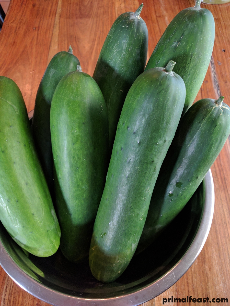 2017 0708 cucumbers.jpg
