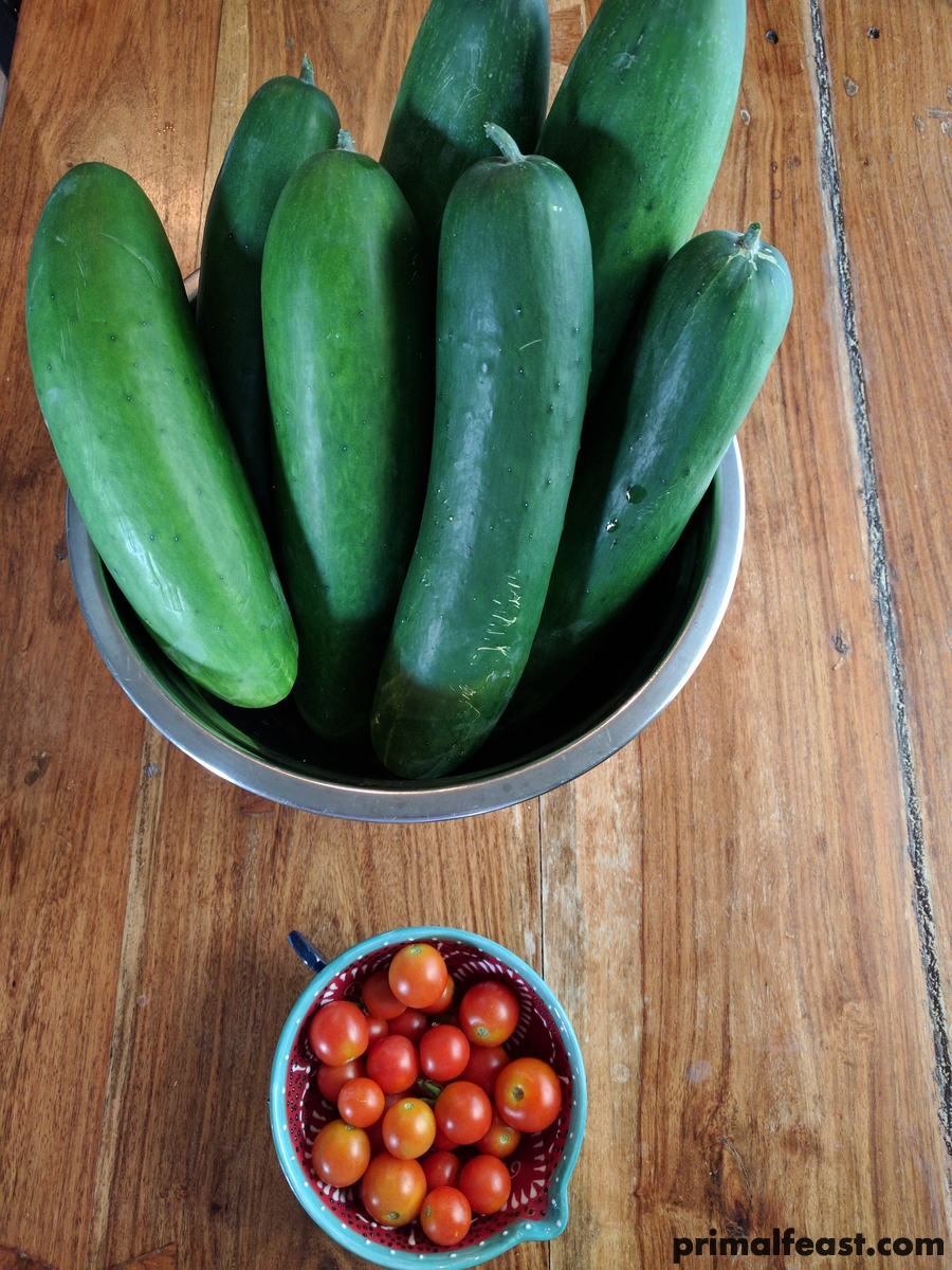2017 0708 cucumbers and tomato.jpg