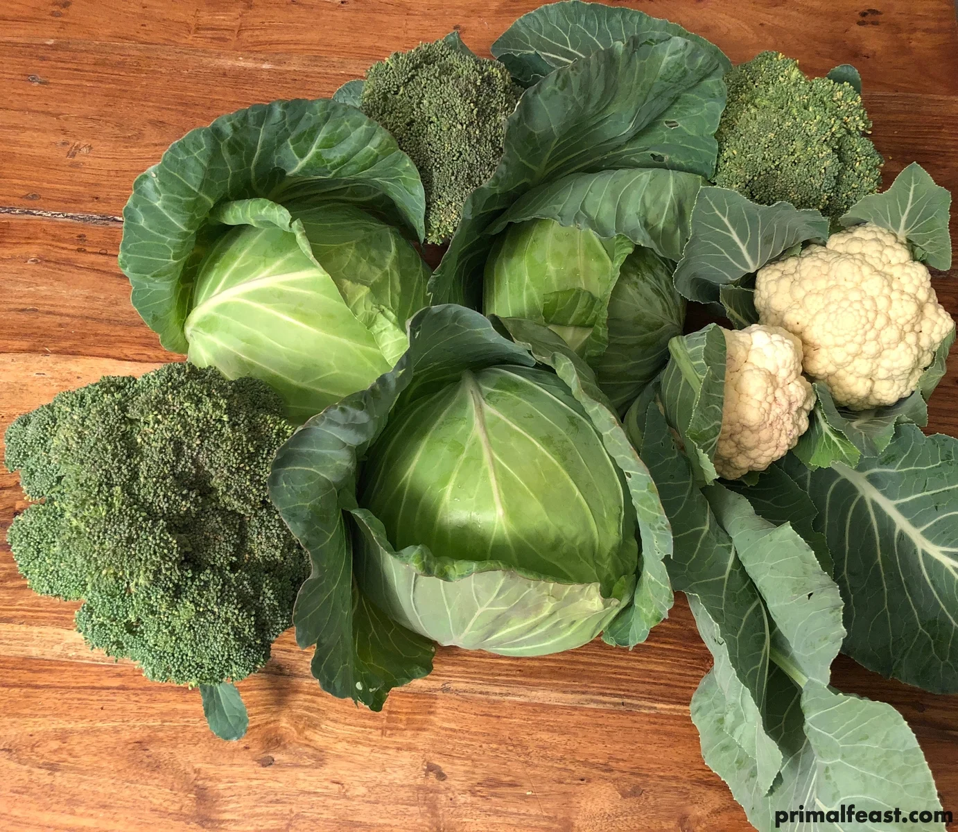 2017 1212 broccoli cabbage cauliflower 001.jpg