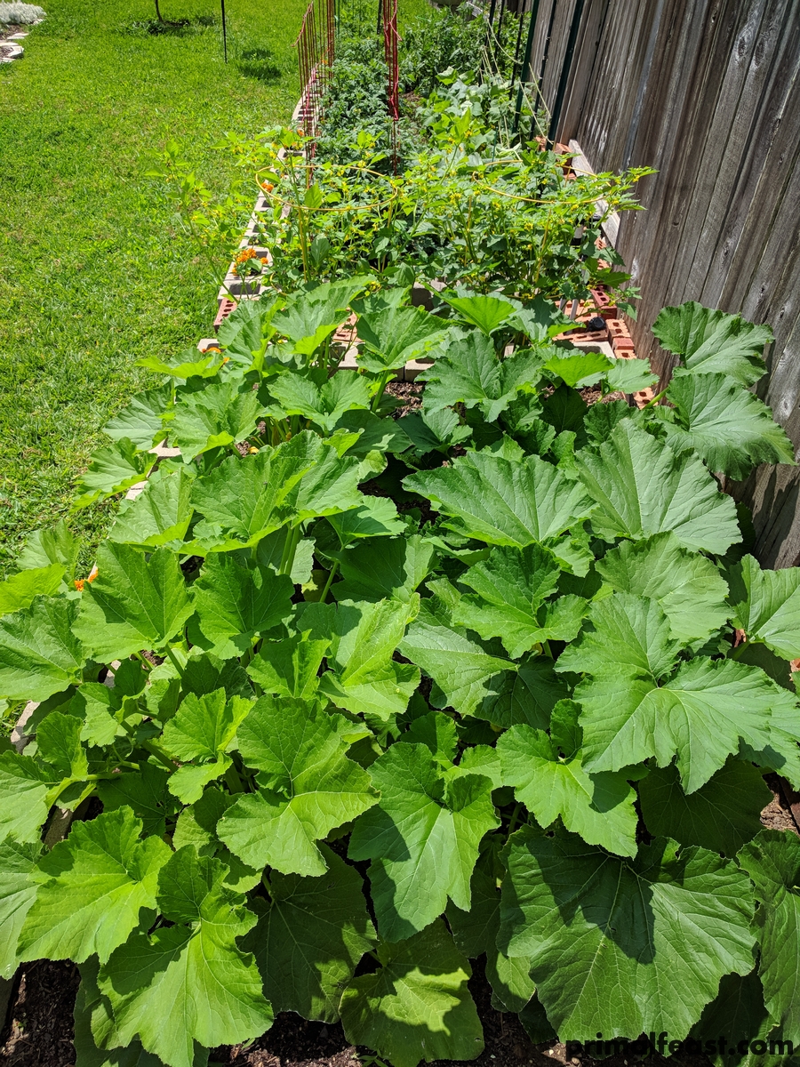 2018 0502 garden 004.jpg