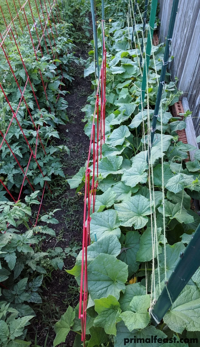 2018 0507 primal garden 005.jpg