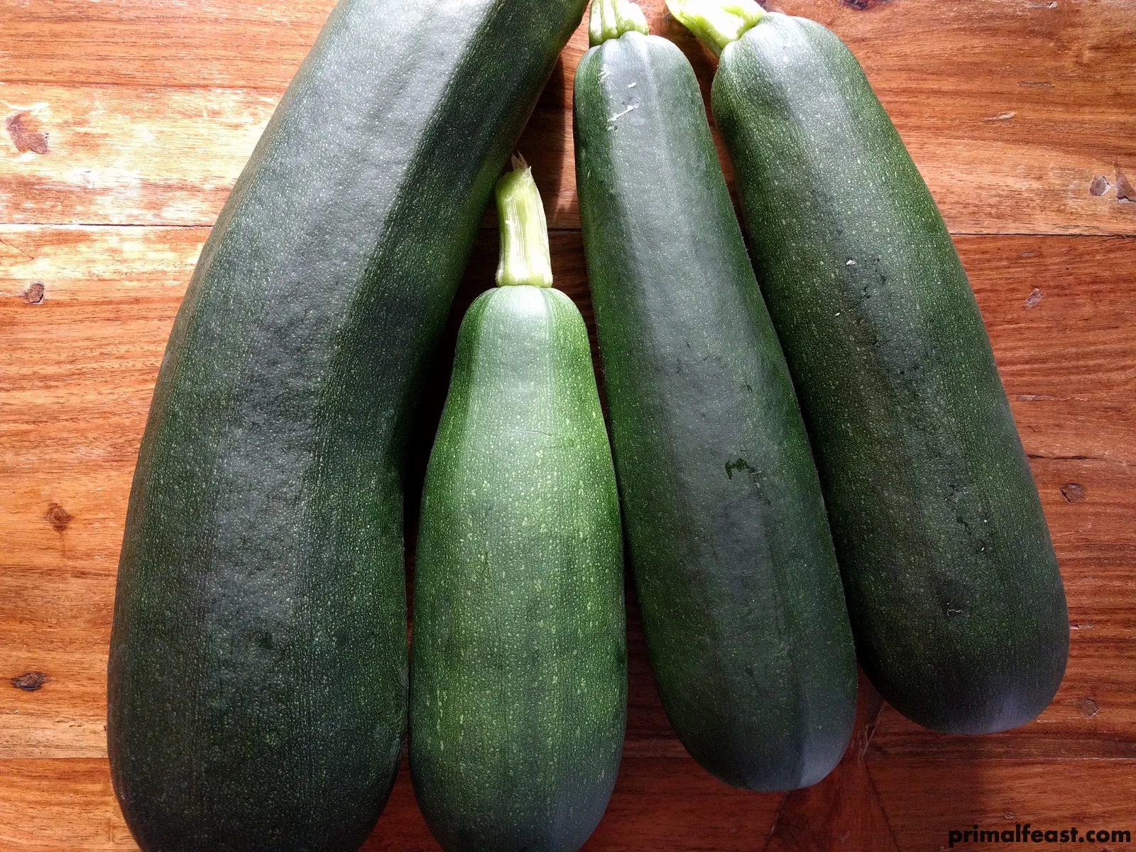 2018 0508 primal garden 001.jpg