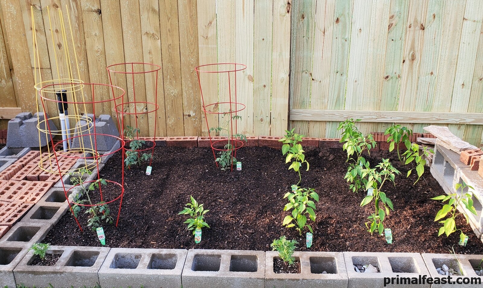2019 0521 tomatoes and peppers 002.jpg