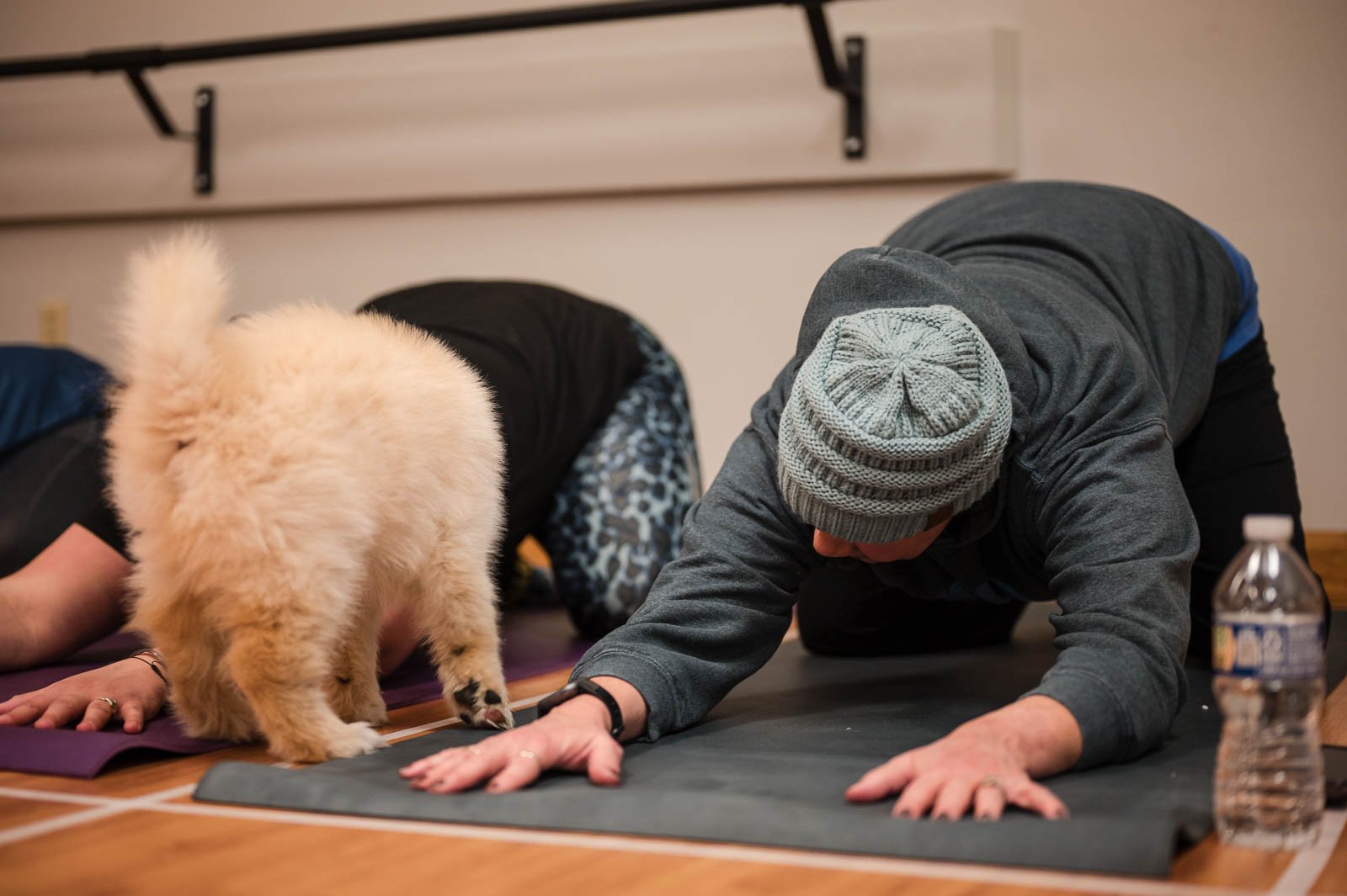 Puppy Yoga