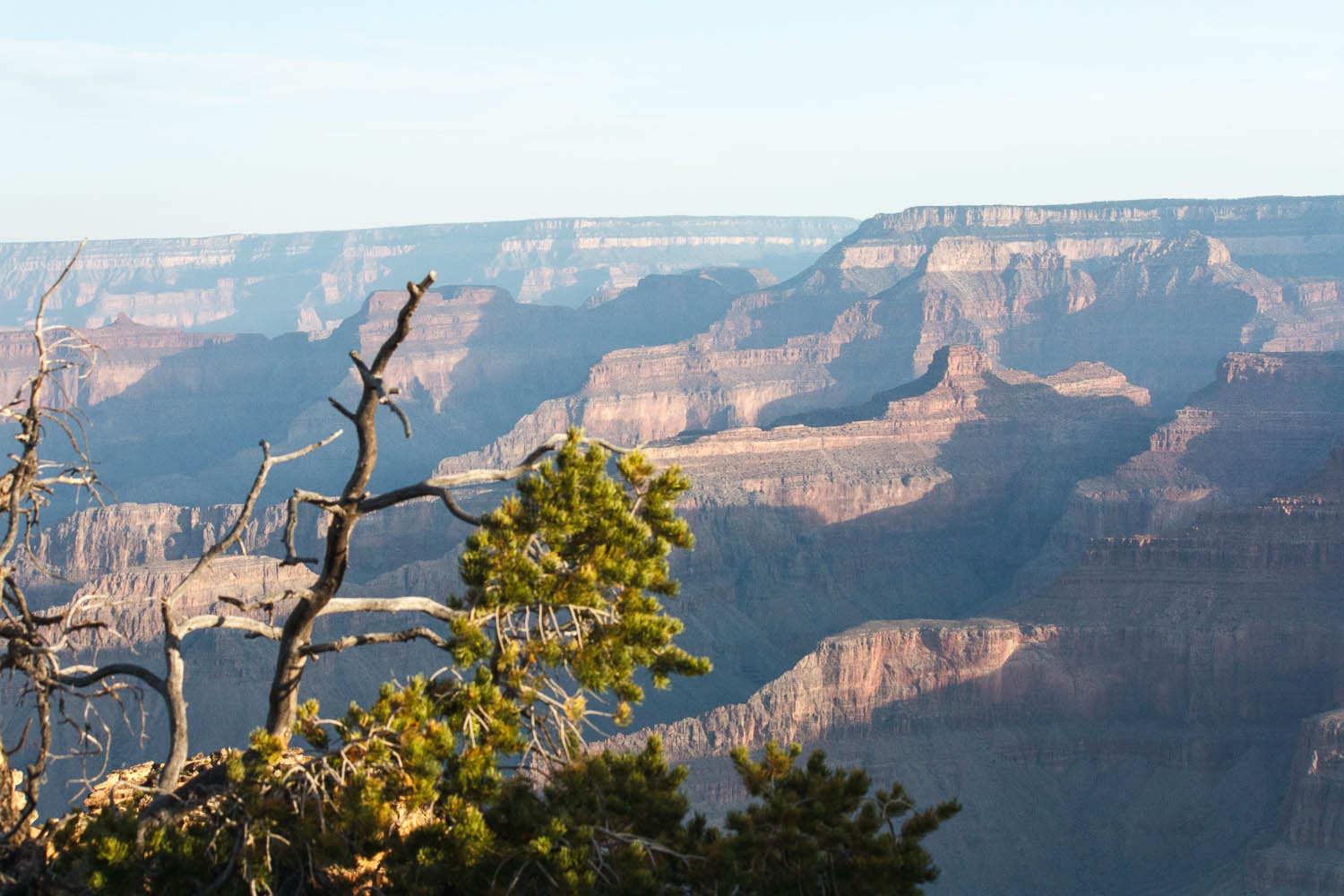 Dawn, Powell Point, Grand Canyon