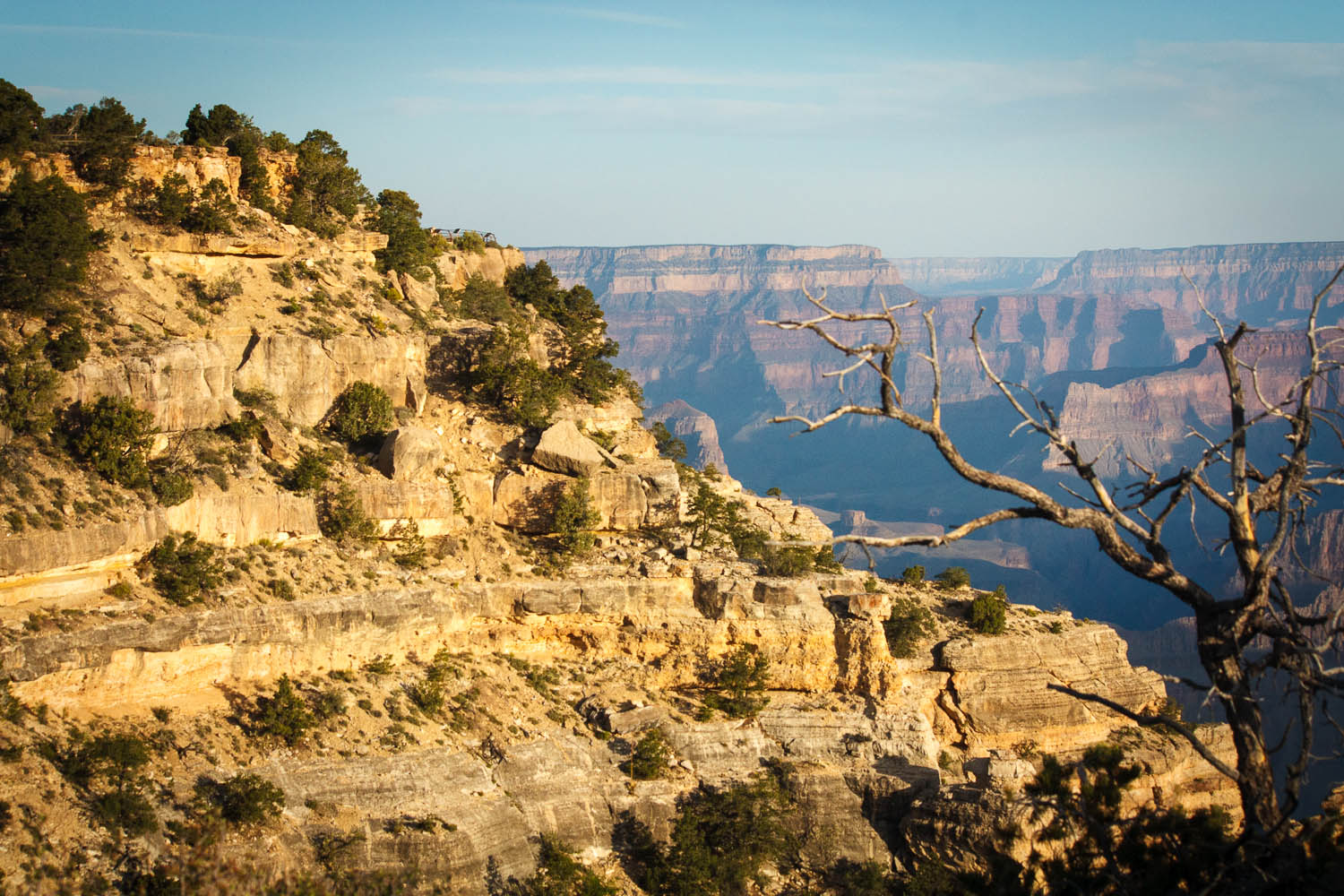 Dawn, Powell Point, Grand Canyon