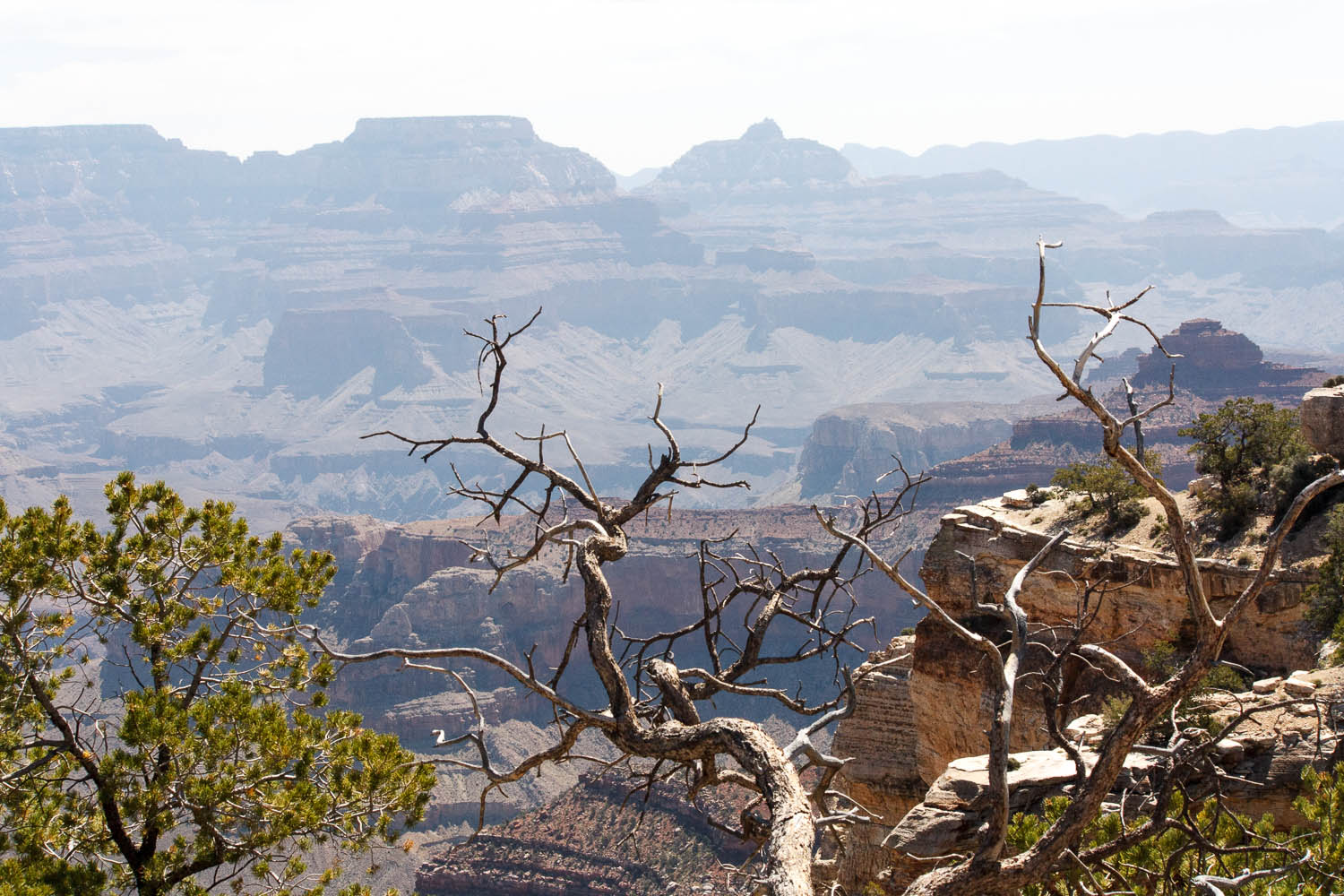 Powell Point, Grand Canyon