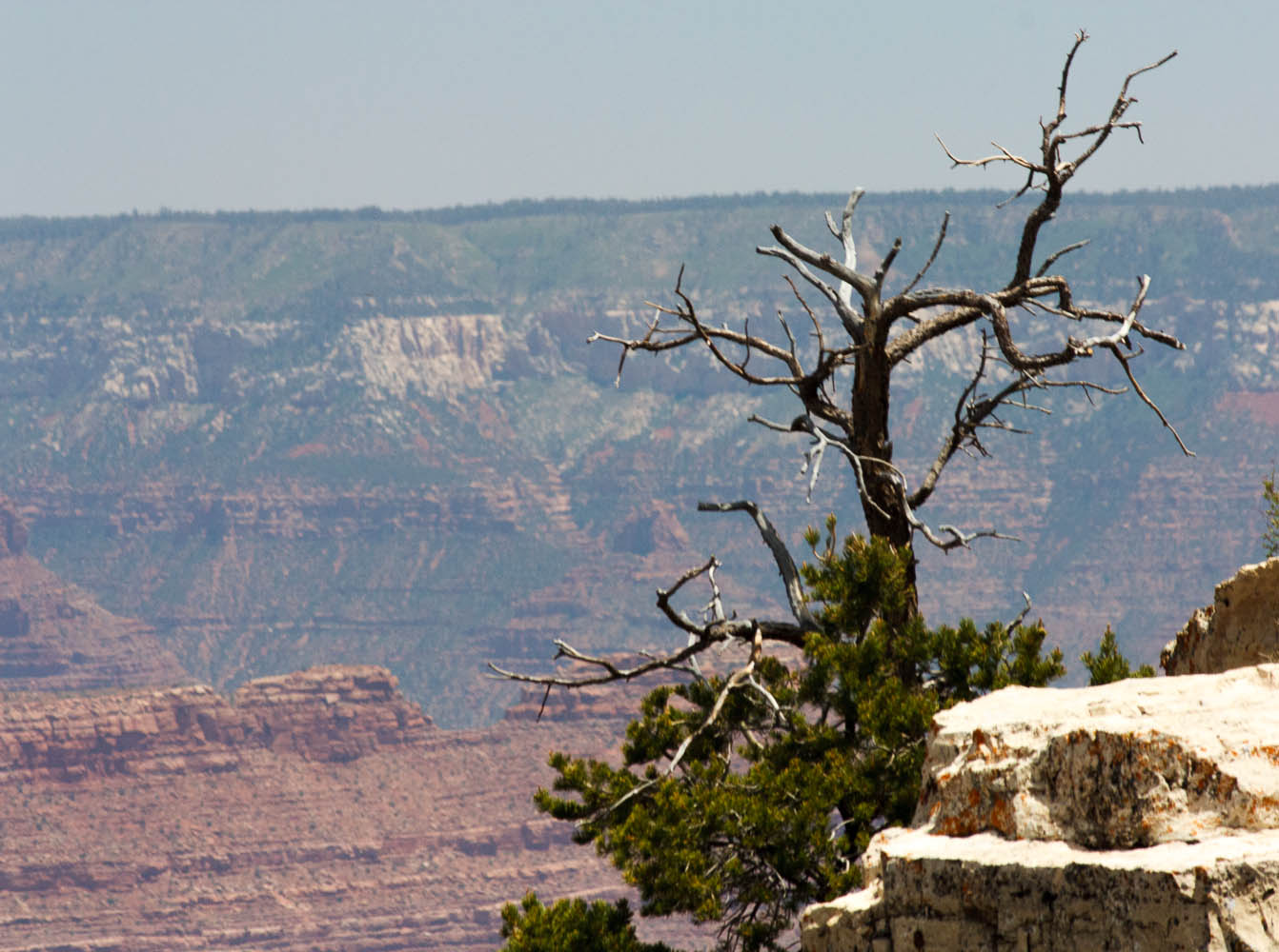 Pima Point, Grand Canyon