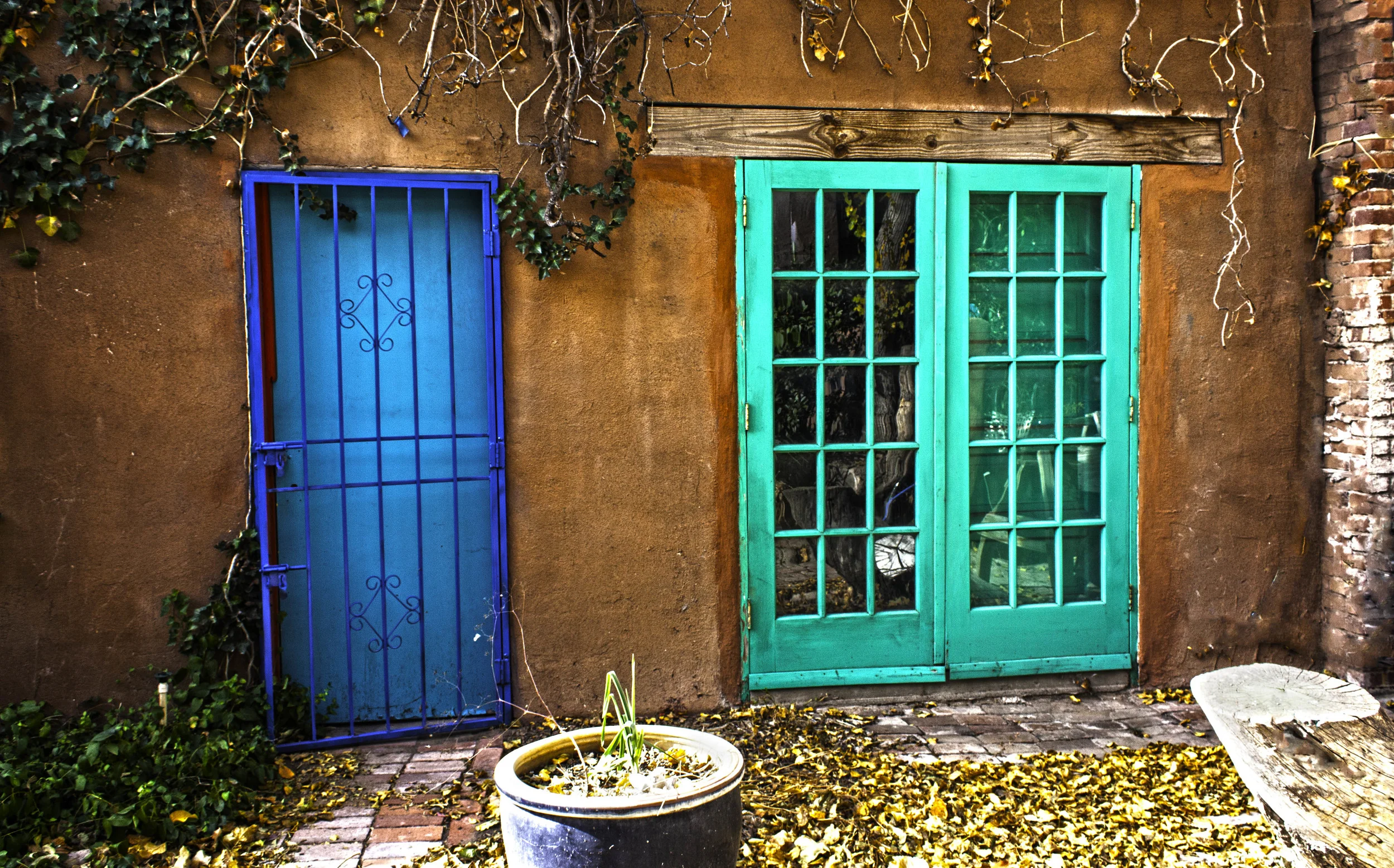 Back Doors, Deming, NM