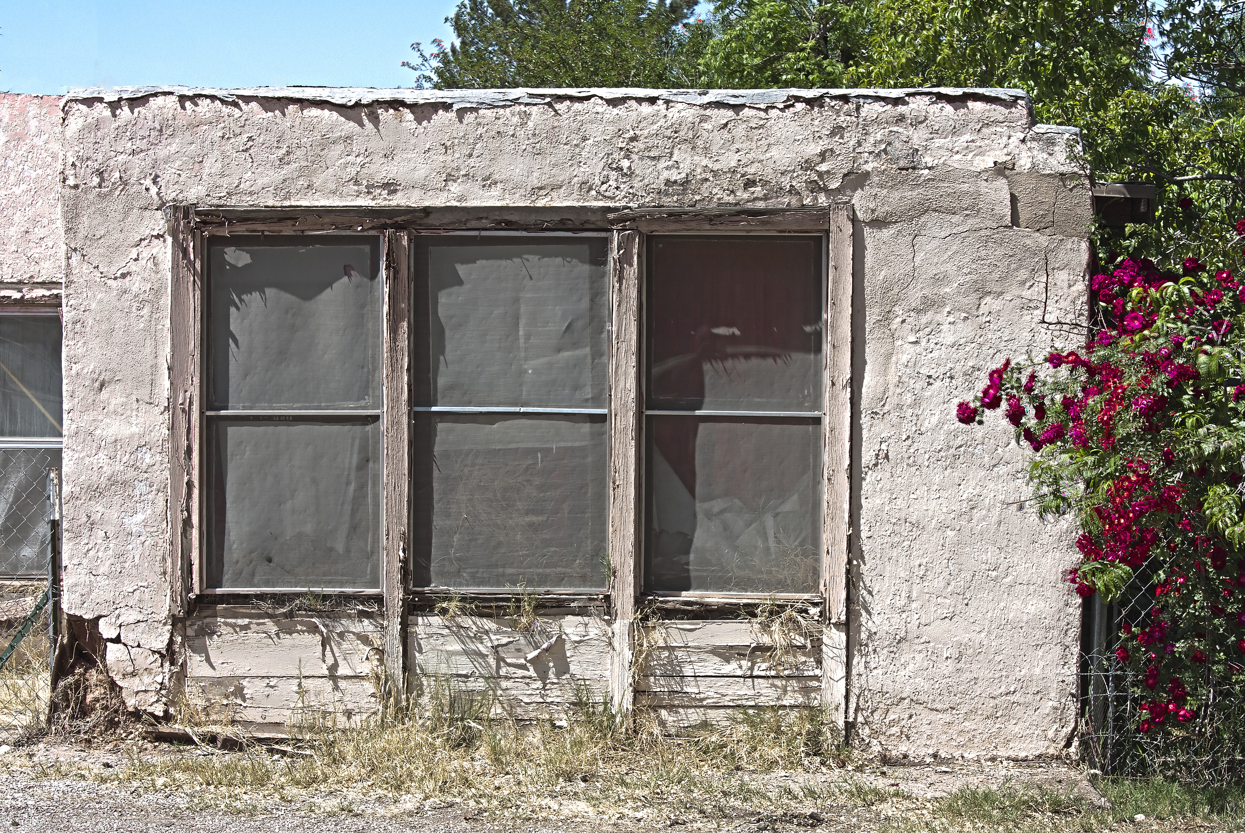 Ruin and Roses, Tularosa, NM