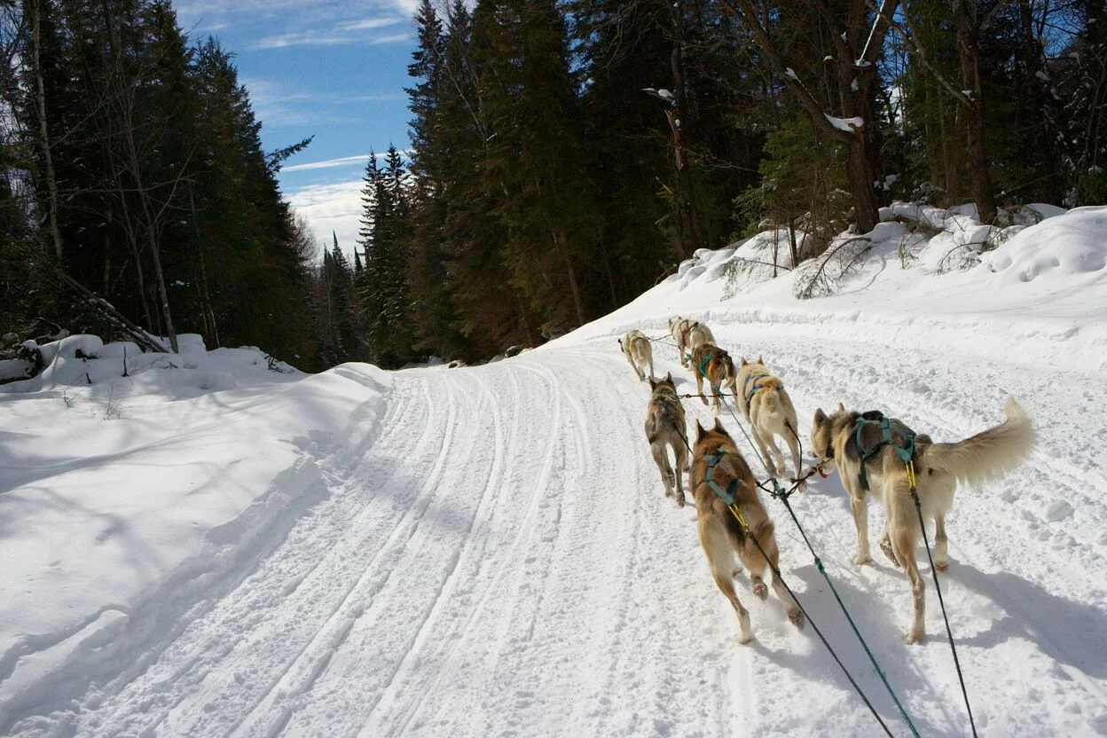 070225_Dog_sledding-00171.jpg