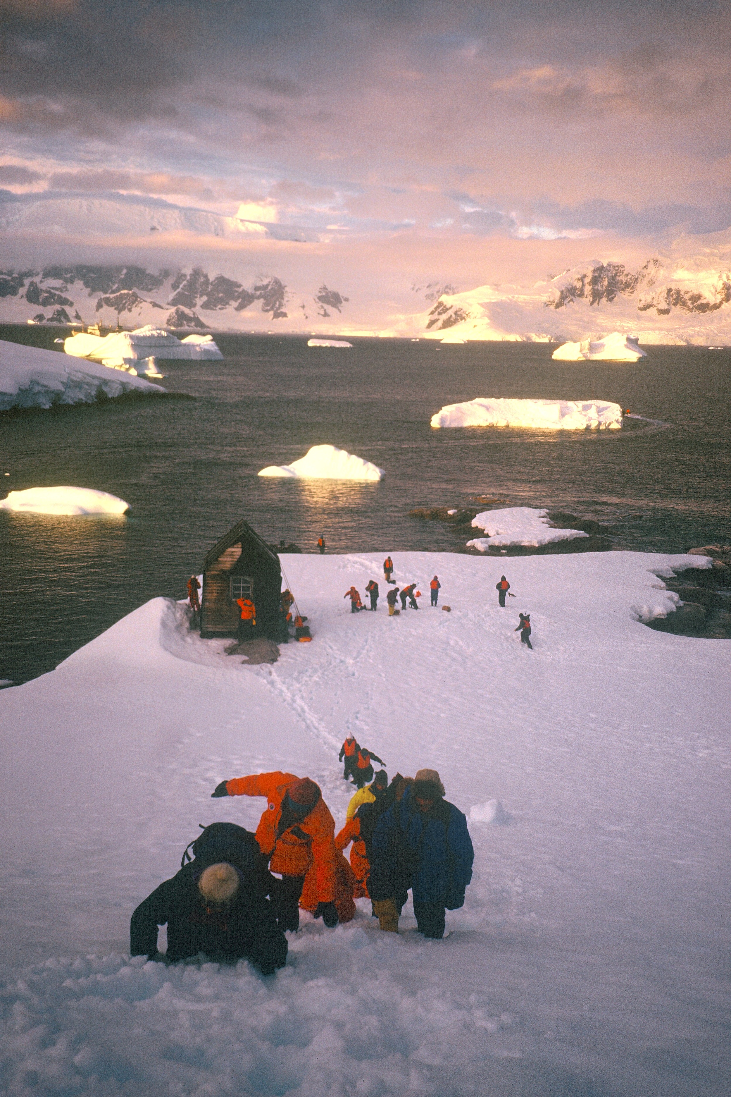 Antarctic photo Carol Dec 95.jpg