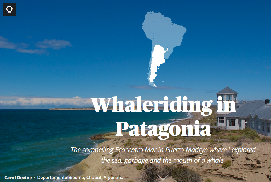 Whaleriding in Patagonia: The compelling Eco Centro Mar , Puerto Madryn Argentina in Maptia