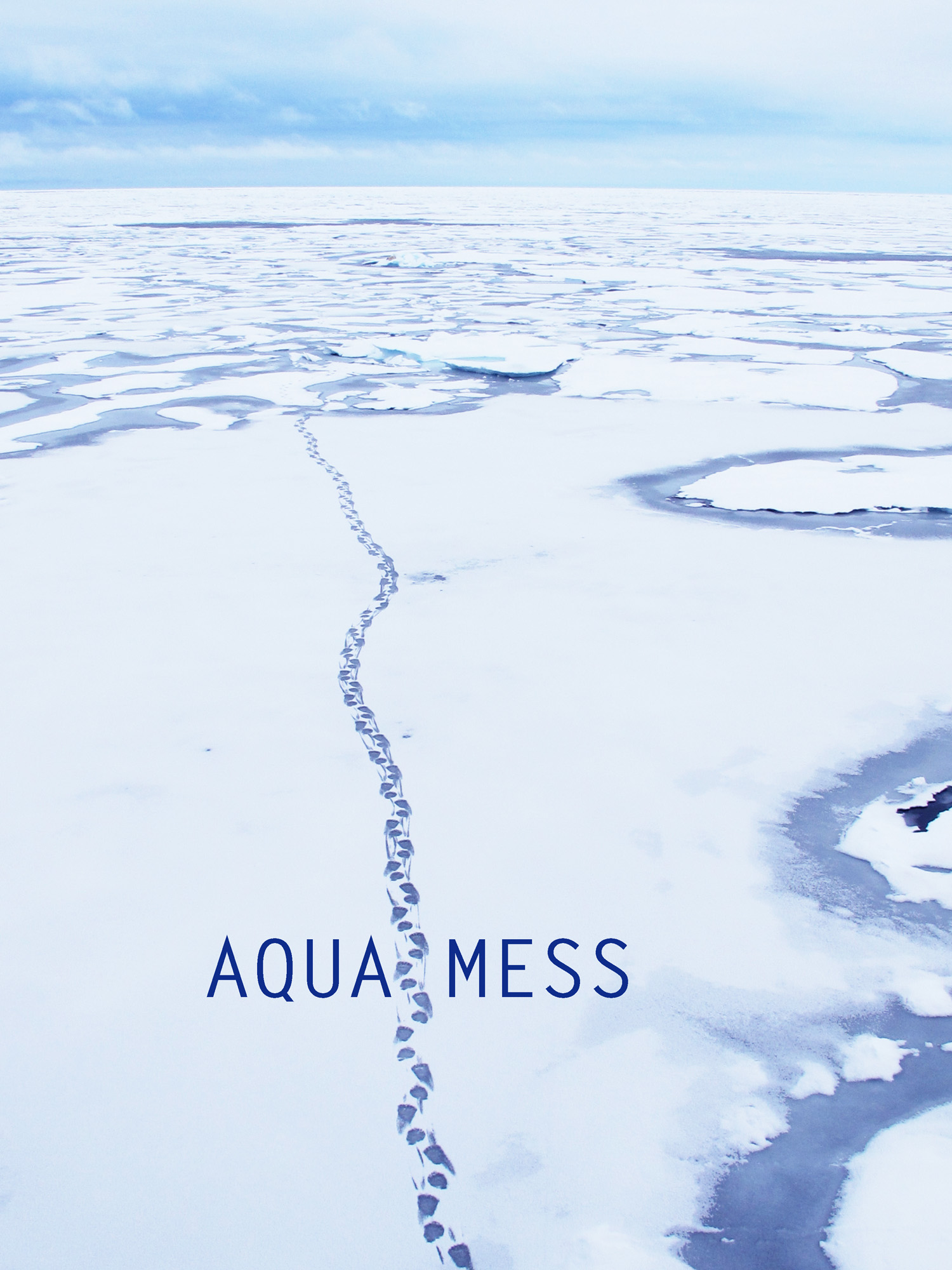 AquaMess Svalbard Carol Devine.jpg