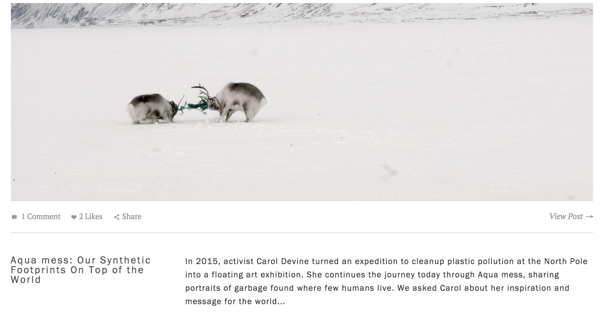 Interview Carol Devine with Parley for the Oceans - Aqua mess: Our Synthetic Footprints On Top of the World about a far north clean up, July 2016