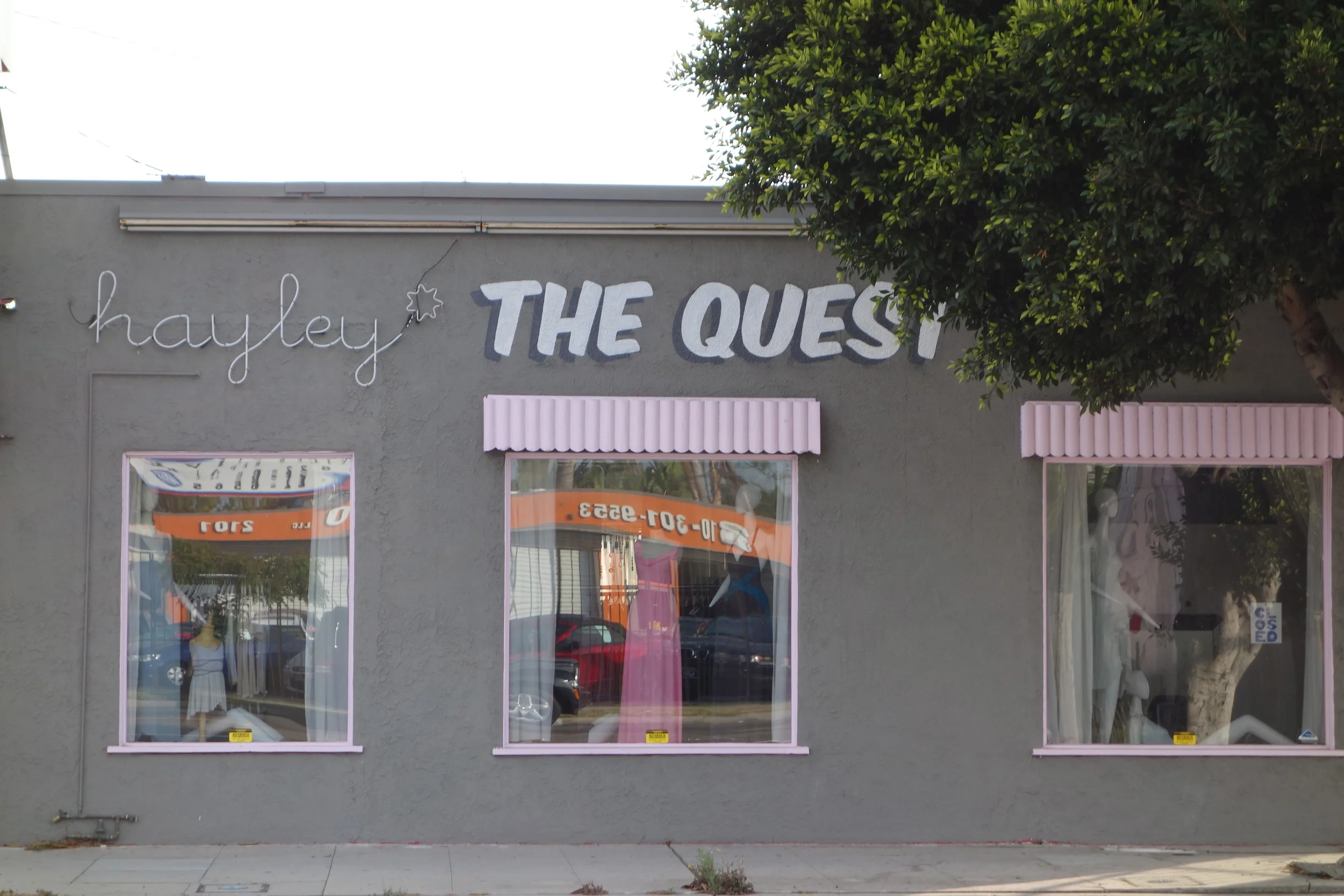 The Quest by Hayley Starr