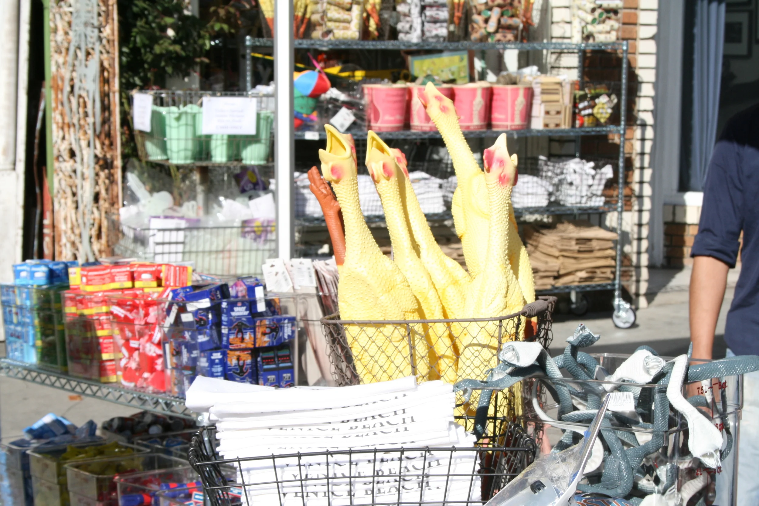  Halloween tricks and treats on display at the Bountiful vintage shop on Abbot Kinney. 