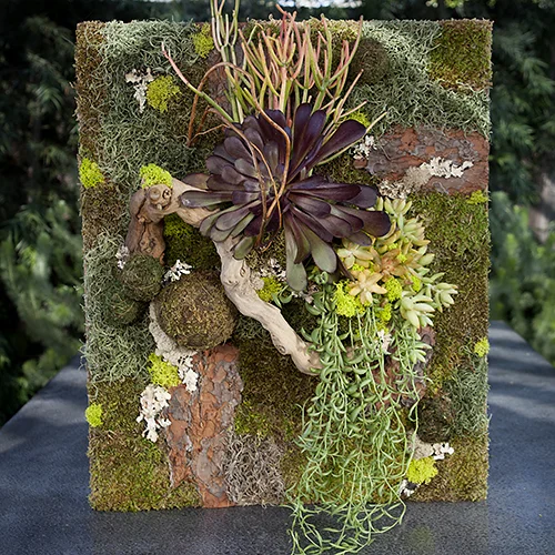 LR_PATRICK_SUCCULENTART_F copy.jpg