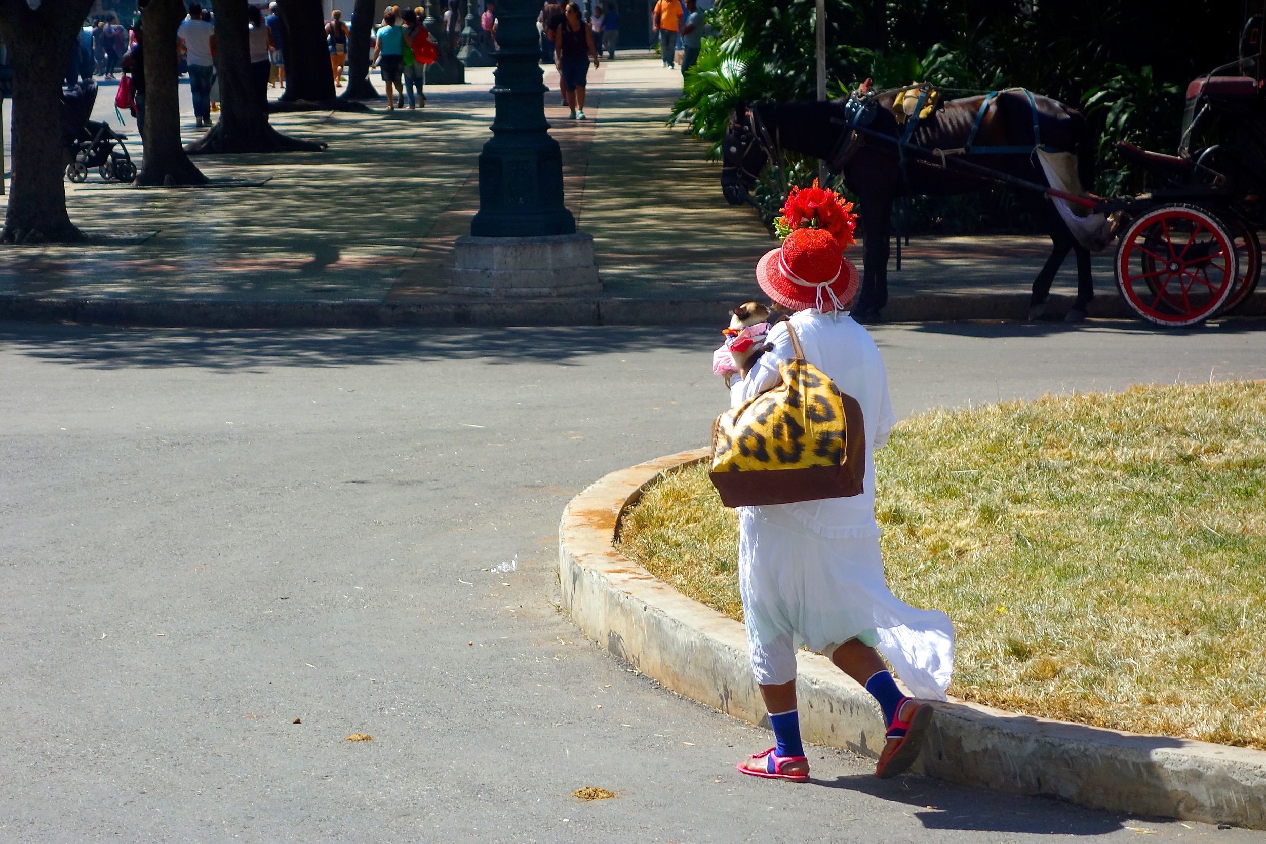  Mom and kitty in matching pink accessories passing through Parque Central. 