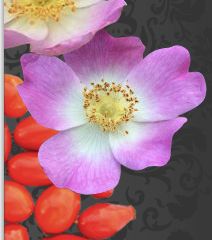 Flower RHSO.png