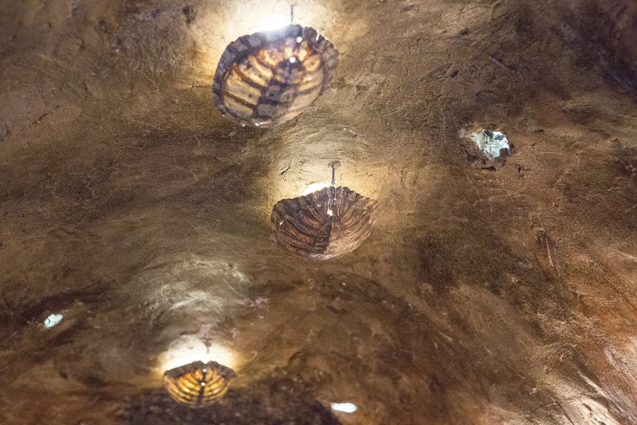 diephuis-sala-rabbit-115.jpg