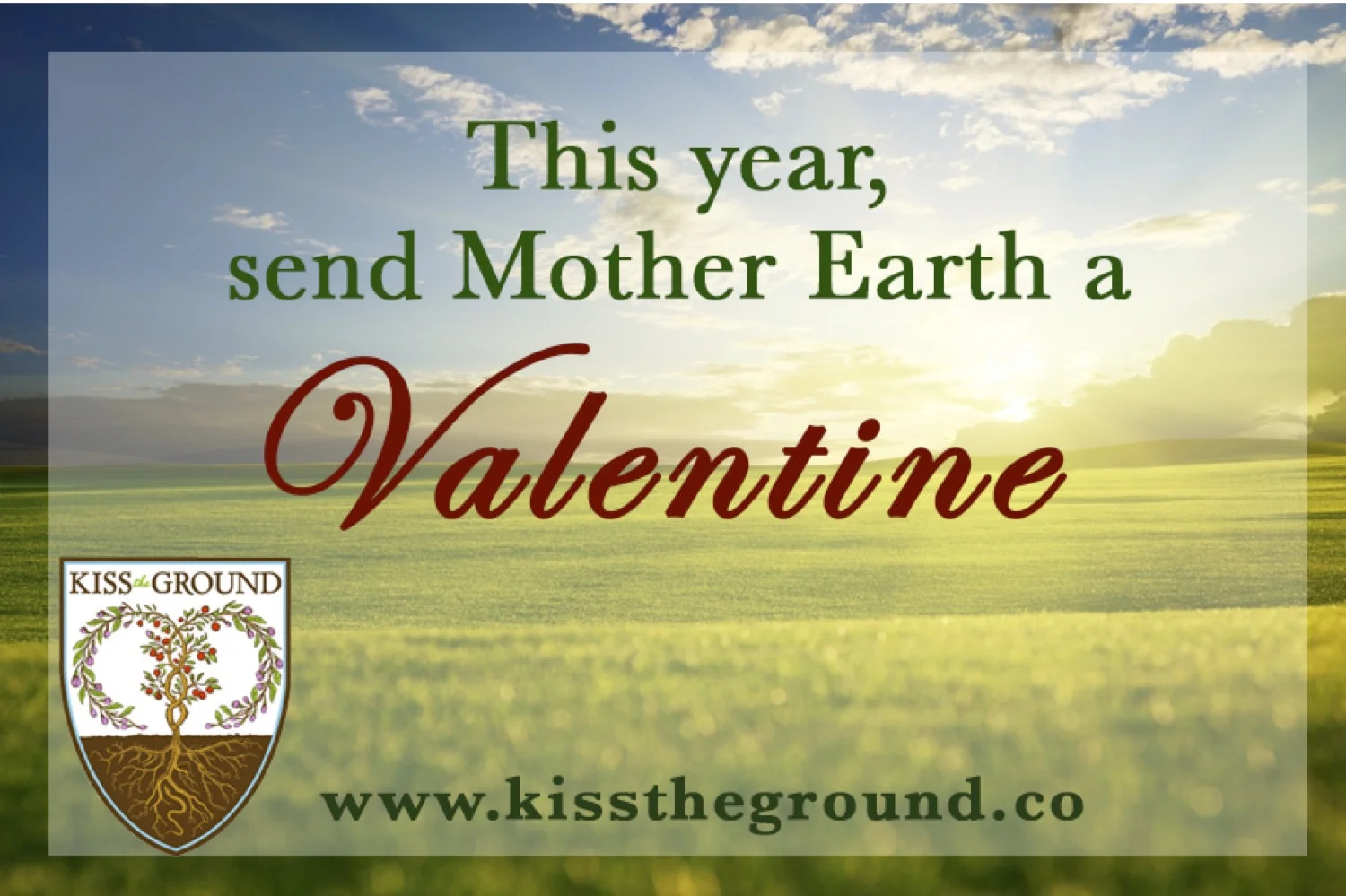 Kiss The Ground.jpg