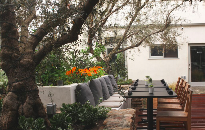 Plant Food And Wine Springs Up On Abbot Kinney