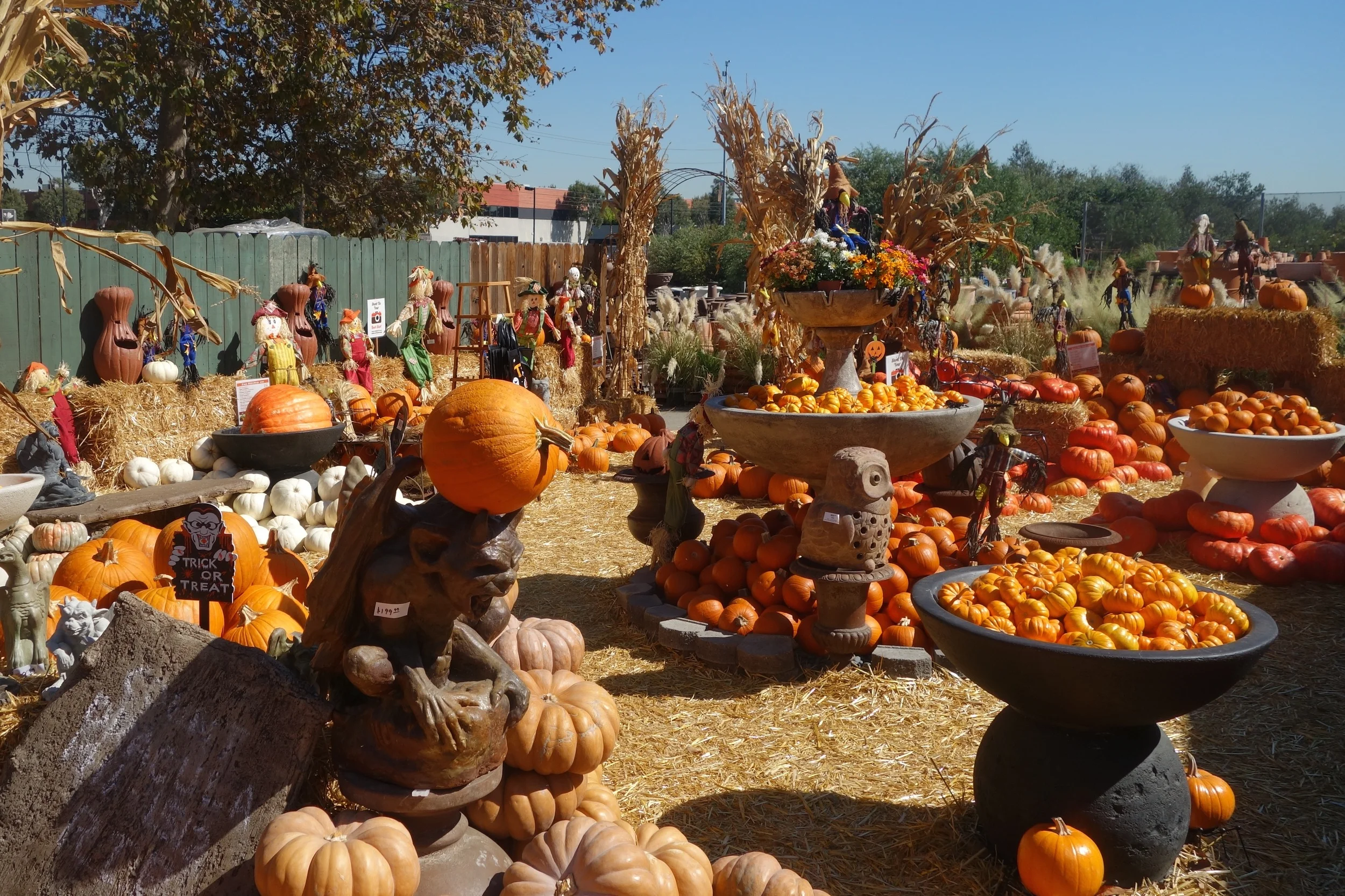 Fall Festivities On The Westside