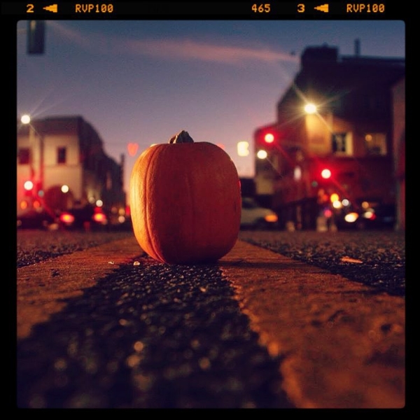 Photo by @venice_life600