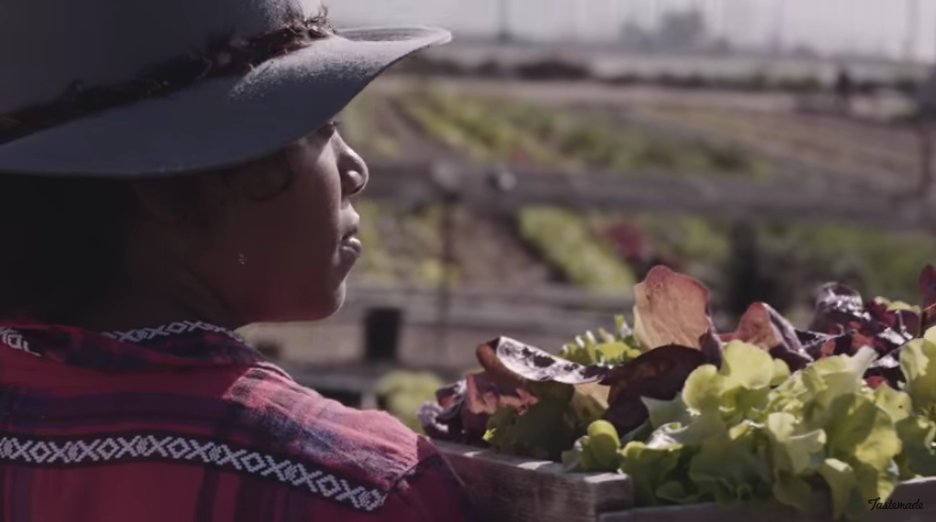 [VIDEO] The Story Behind Leona Venice With Chef Nyesha Arrington