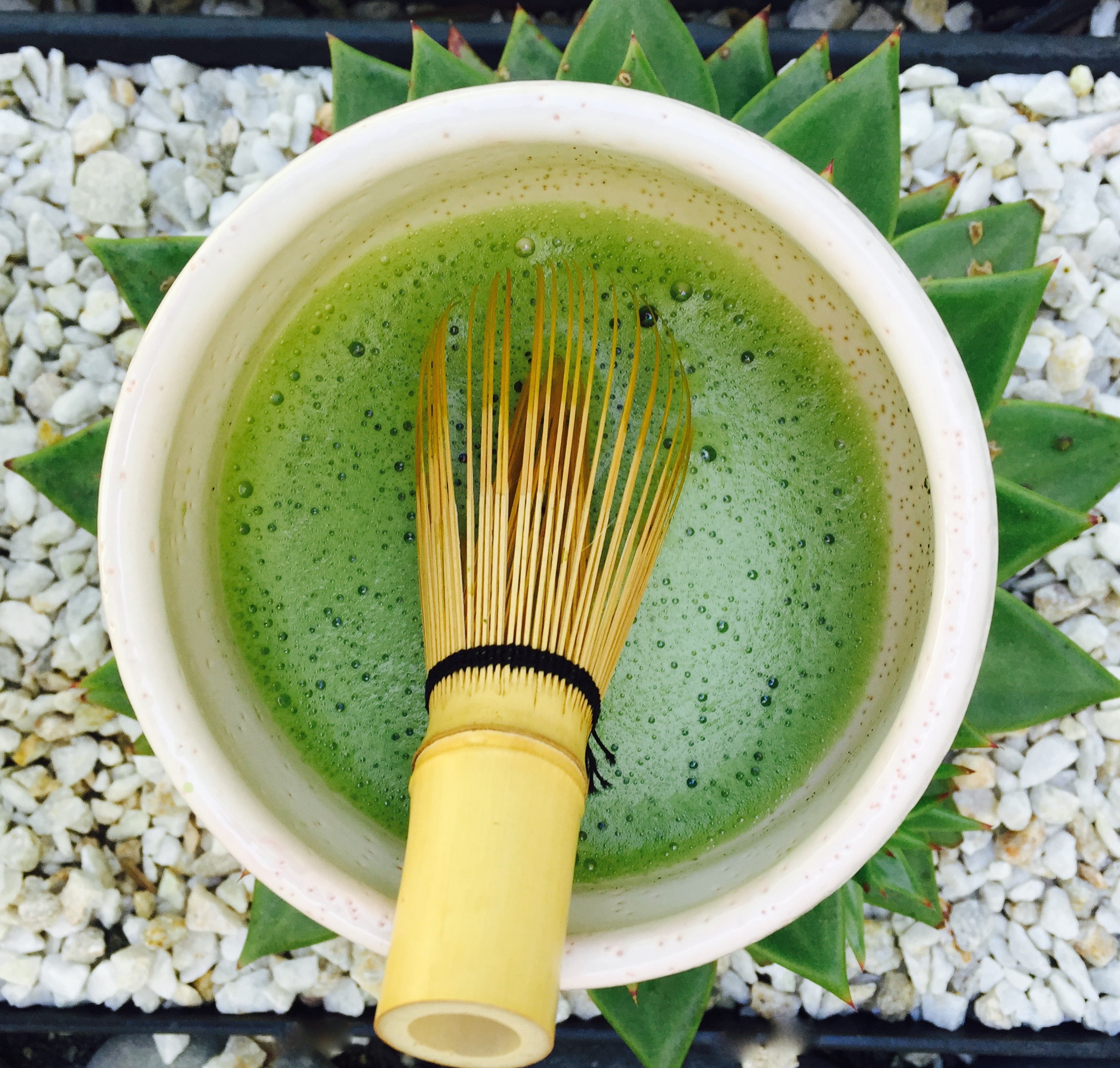 Photo by Shuhari Matcha Cafe