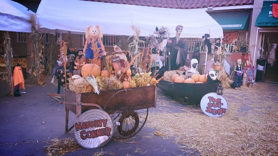 A Pumpkin Patch Just Popped Up On Rose Avenue 