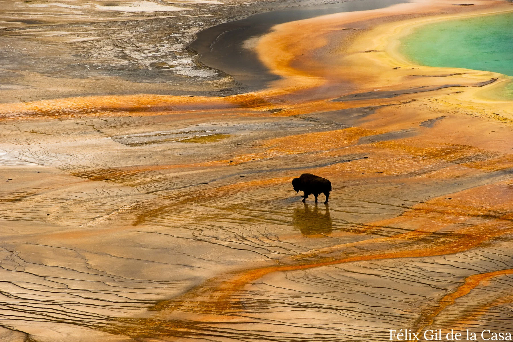 The Wild West: G2 Gallery Celebrates 100 Years of National Parks in Stunning Images
