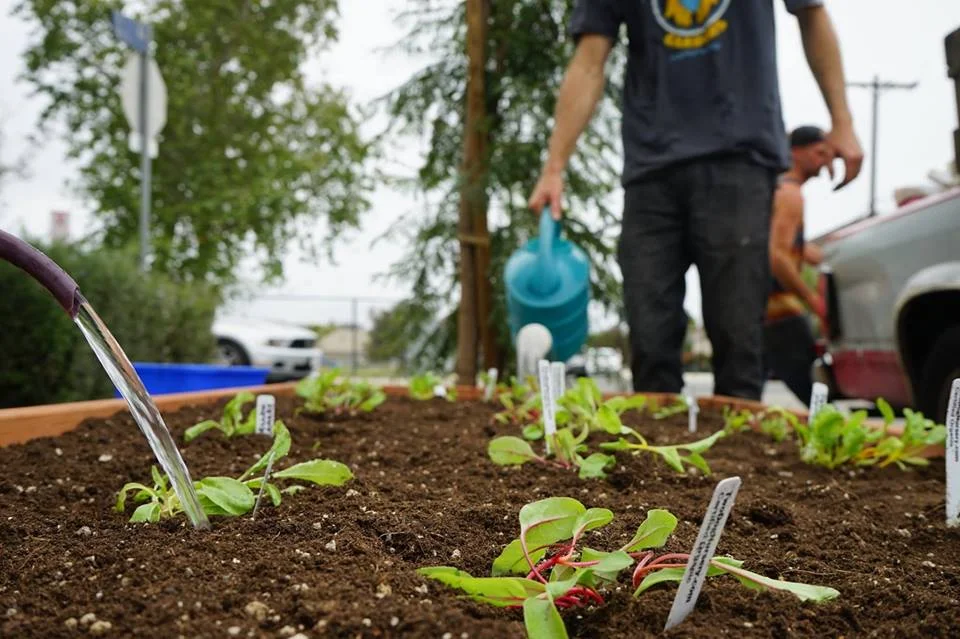 Join Venice's Community Healing Gardens for a Day of Spring Planting