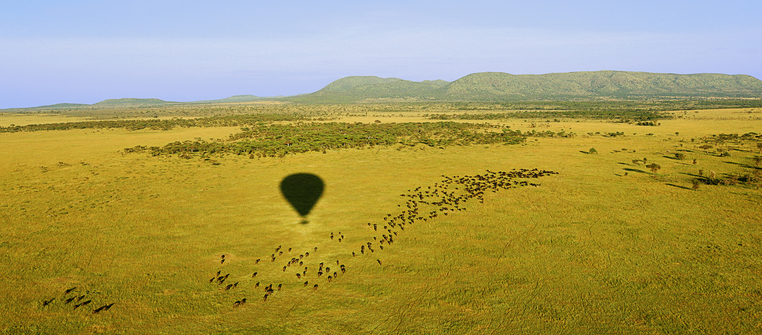 "Hot Air Balloon"