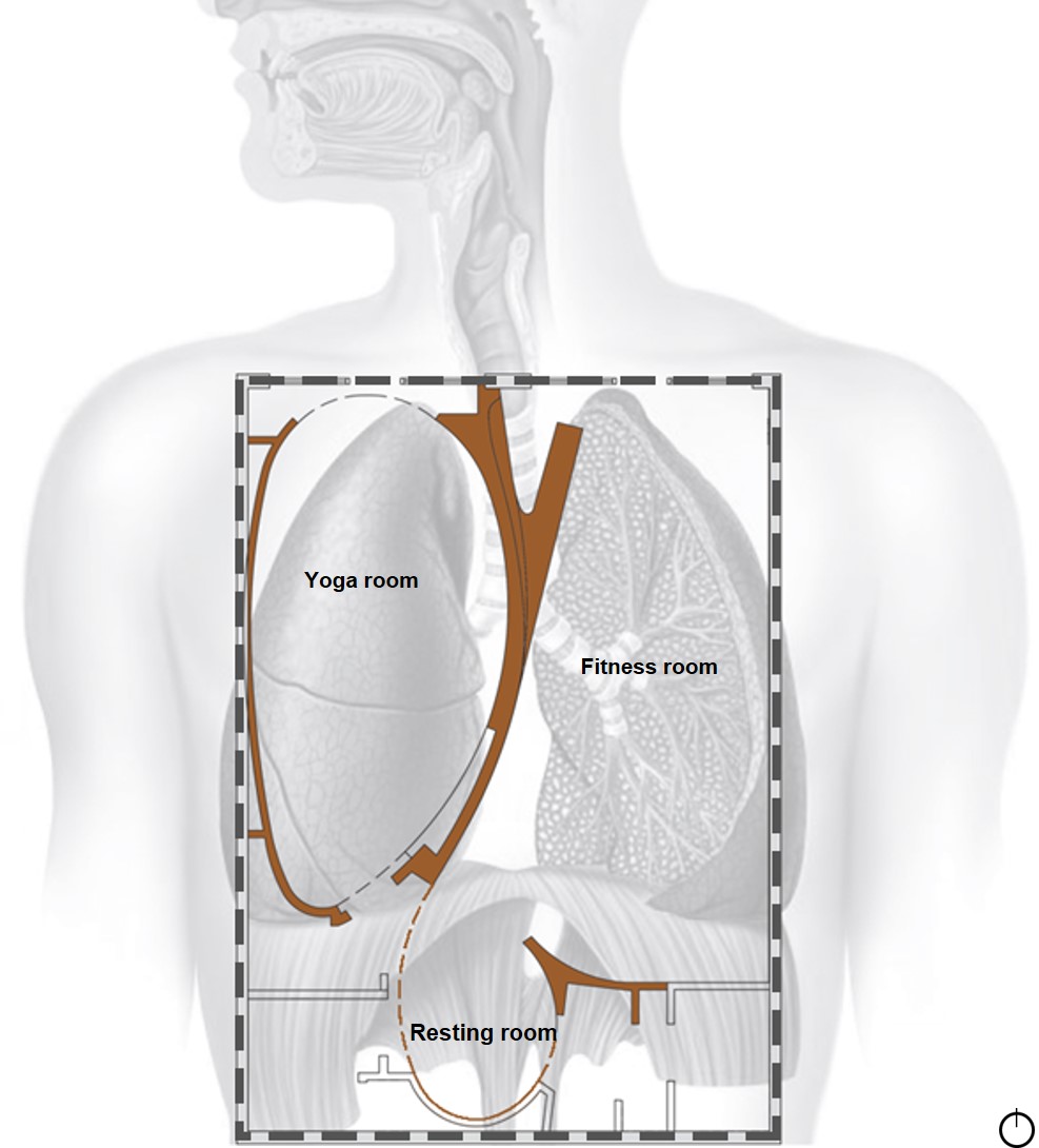 Respiratory System 3_updated.jpg