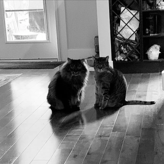 Remember that scene in The Shining?